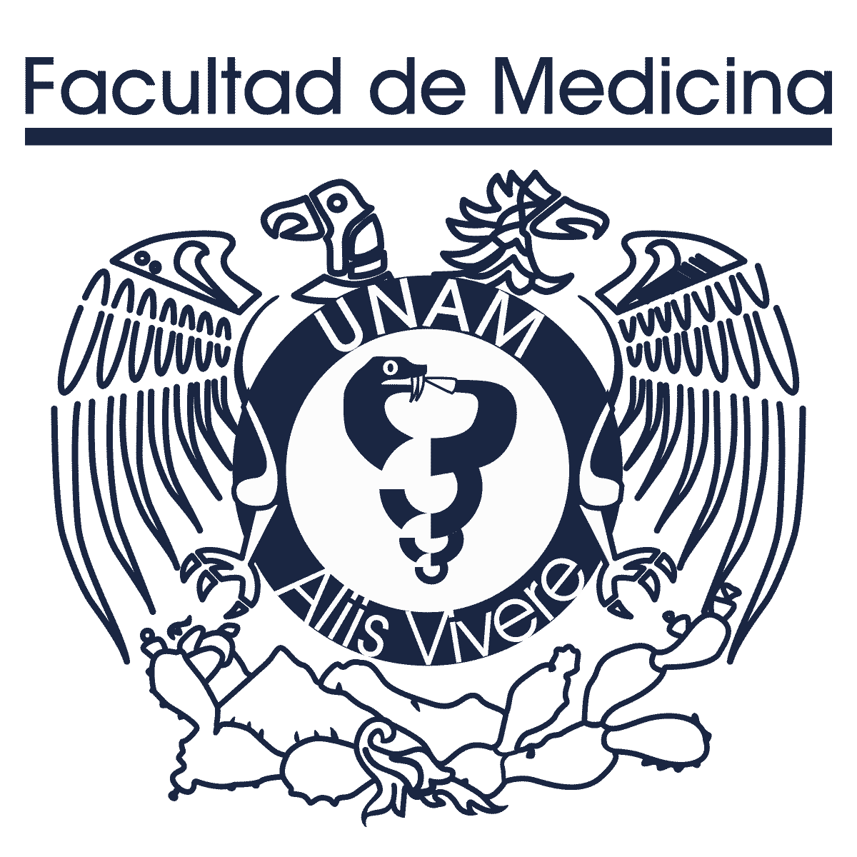 Image_Medicina.png