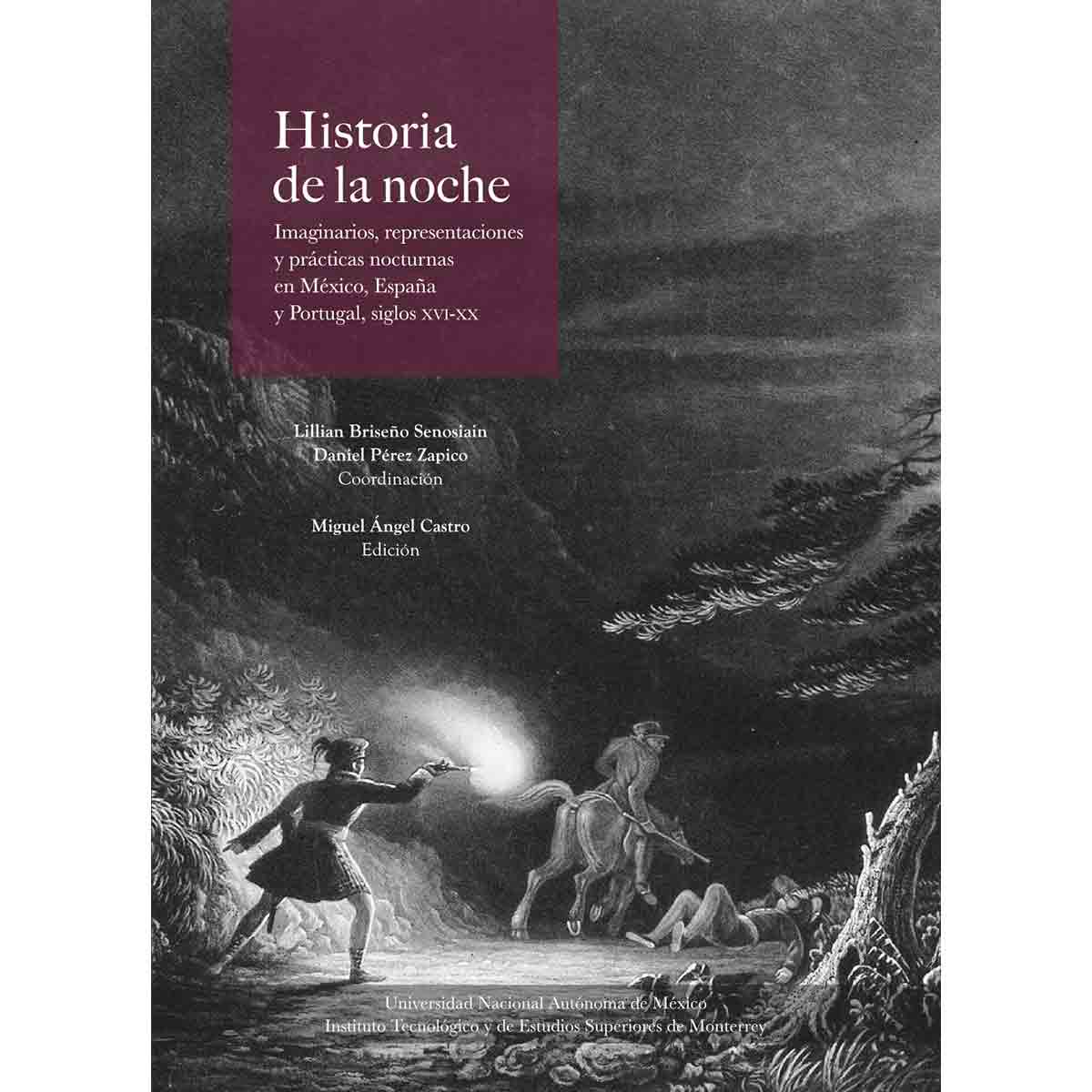 HISTORIA DE LA NOCHE. IMAGINARIOS, REPRESENTACIONES Y PRÁCTICAS NOCTURNAS EN MÉXICO, ESPAÑA Y PORTUGAL. SIGLOS XVI-XX