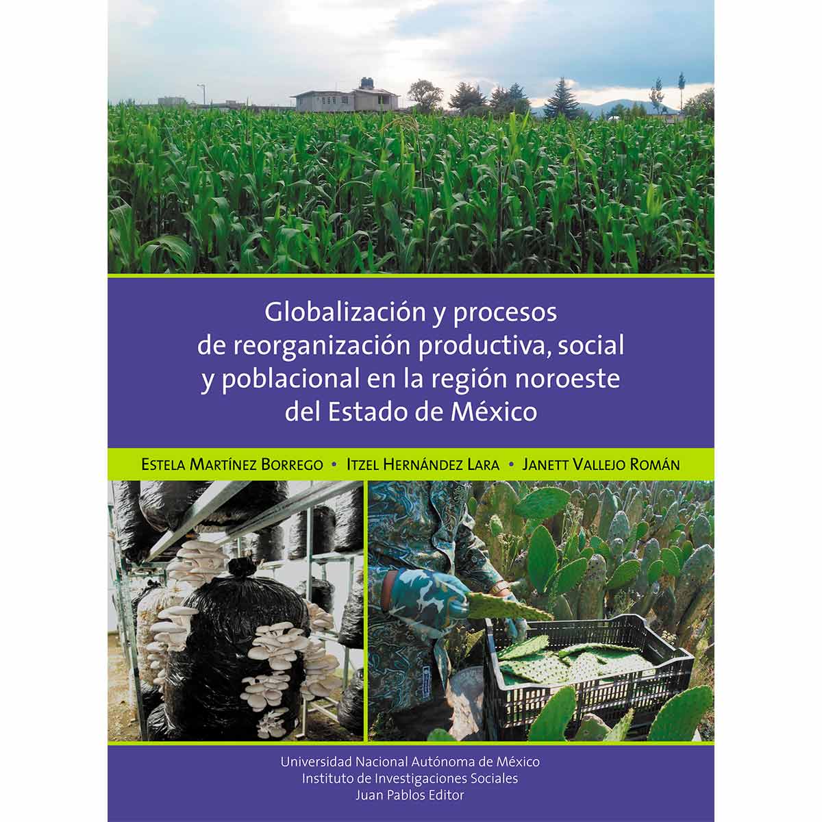 GLOBALIZACIÓN Y PROCESOS DE REORGANIZACIÓN PRODUCTIVA, SOCIAL Y POBLACIONAL EN LA REGIÓN NOROESTE DEL ESTADO DE MÉXICO