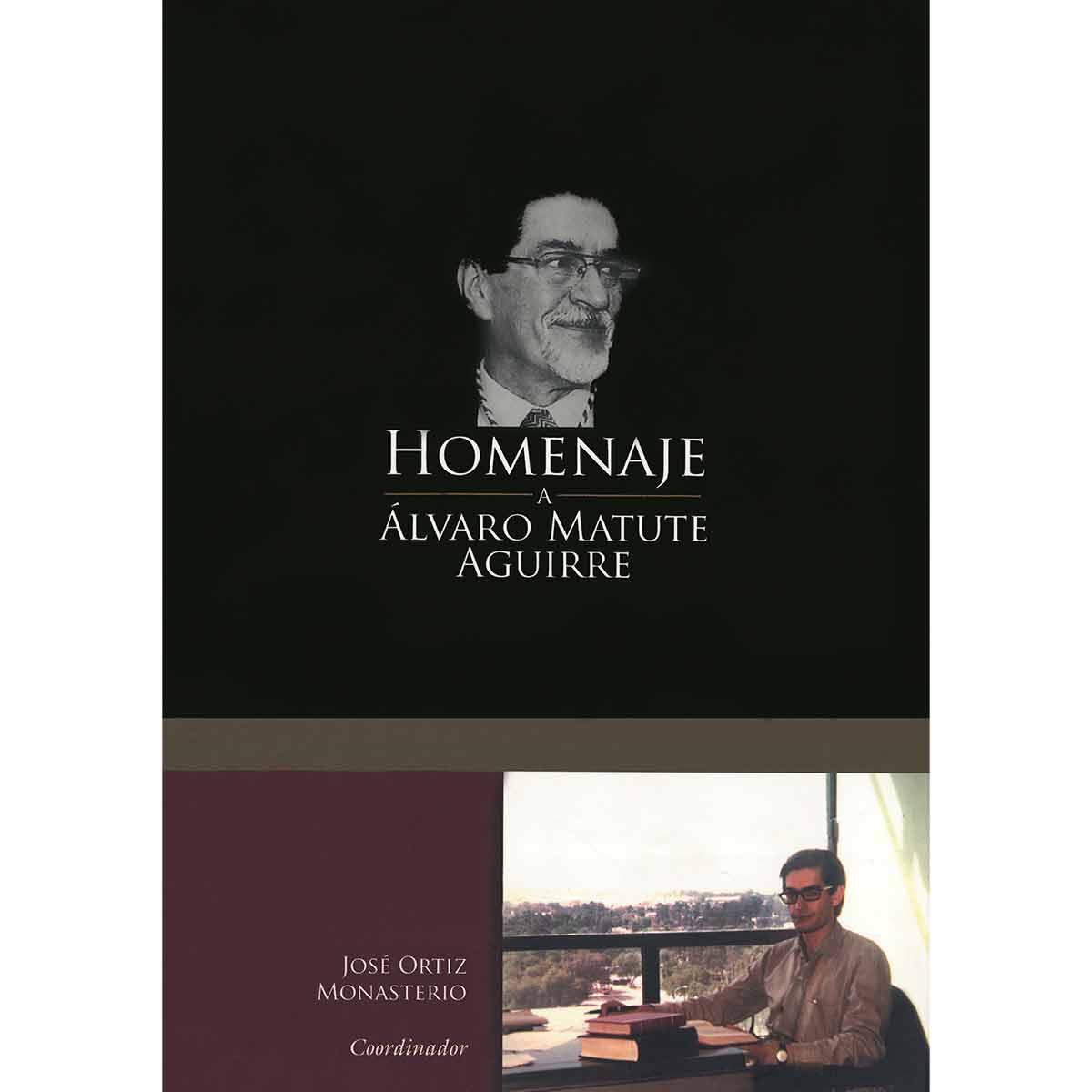 HOMENAJE A ÁLVARO MATUTE AGUIRRE