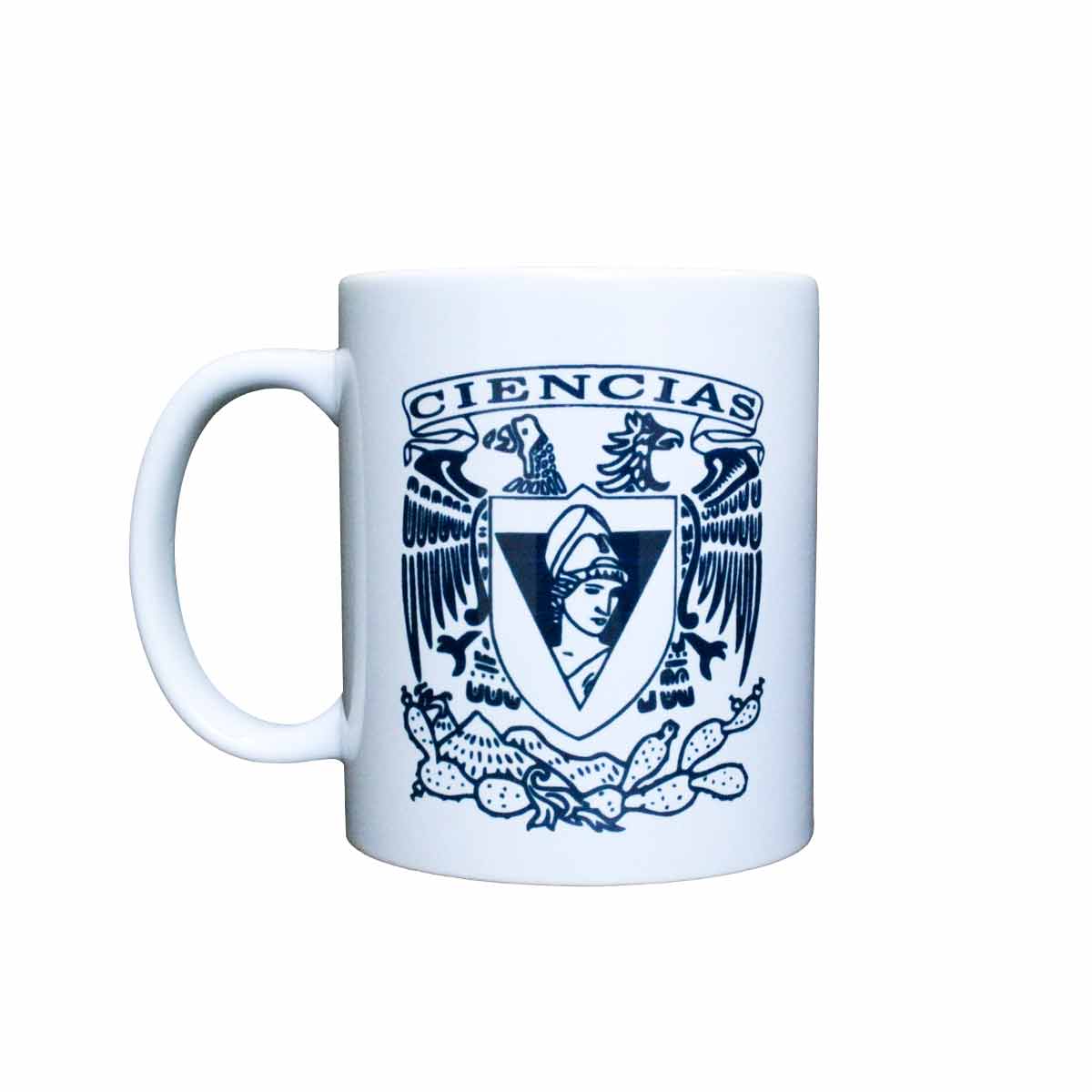 TAZA FACULTADES Y ESCUELAS 