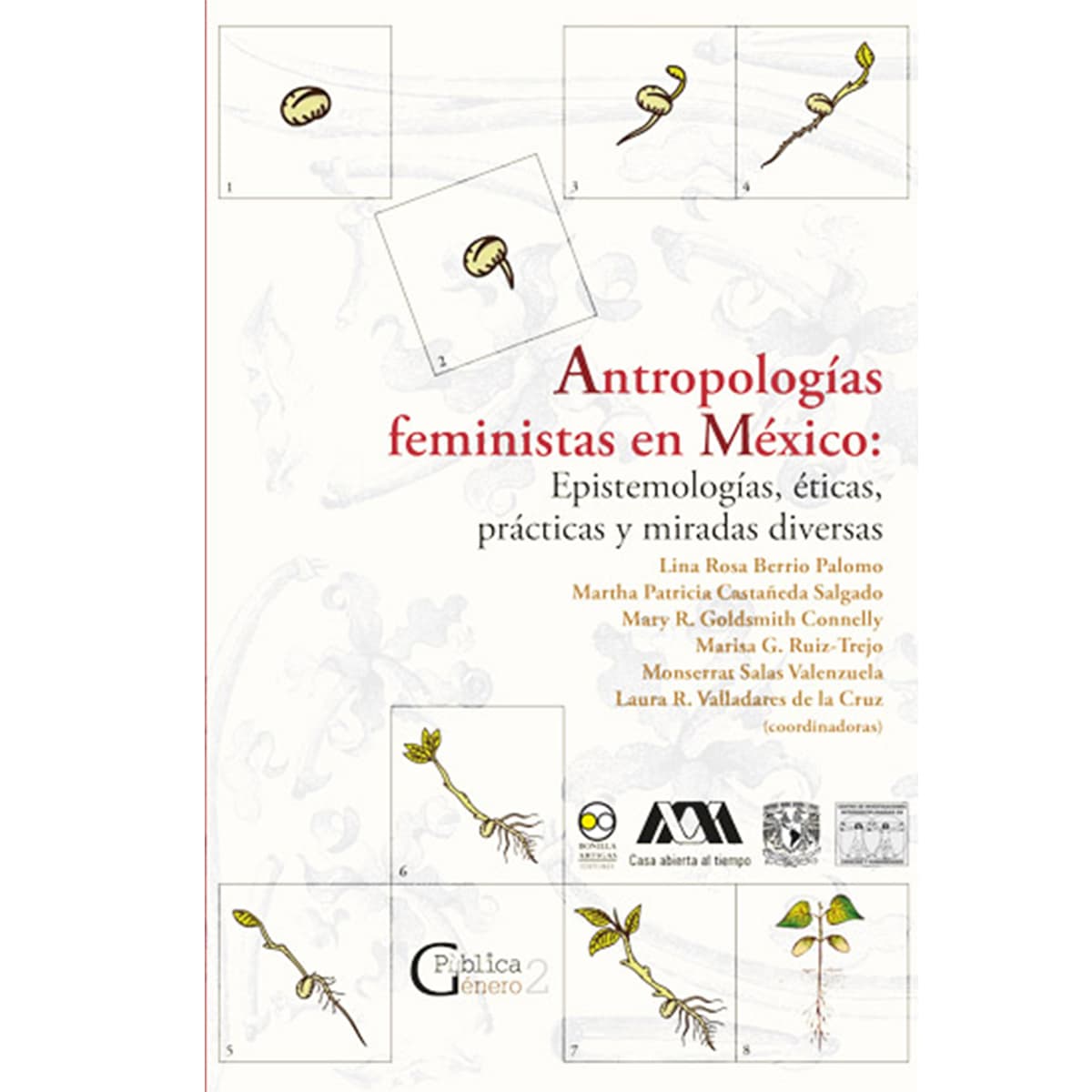 ANTROPOLOGÍAS FEMINISTAS EN MÉXICO: EPISTEMOLOGÍAS, ÉTICAS, PRÁCTICAS Y MIRADAS DIVERSAS