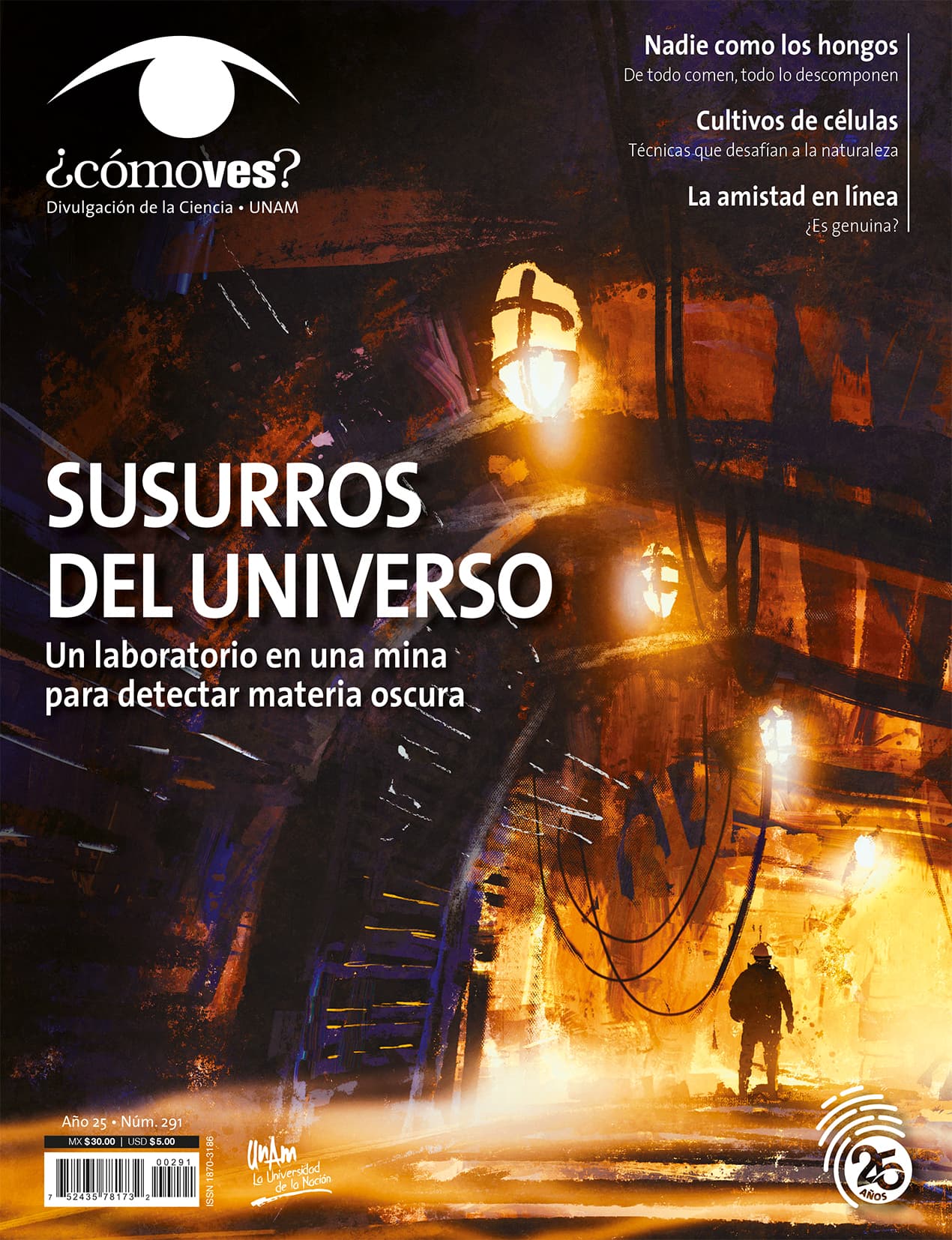 REVISTA ¿CÓMO VES? NÚMERO 291 SUSURROS DEL UNIVERSO. UN LABORATORIO EN UNA MINA PARA DETECTAR MATERIA OSCURA