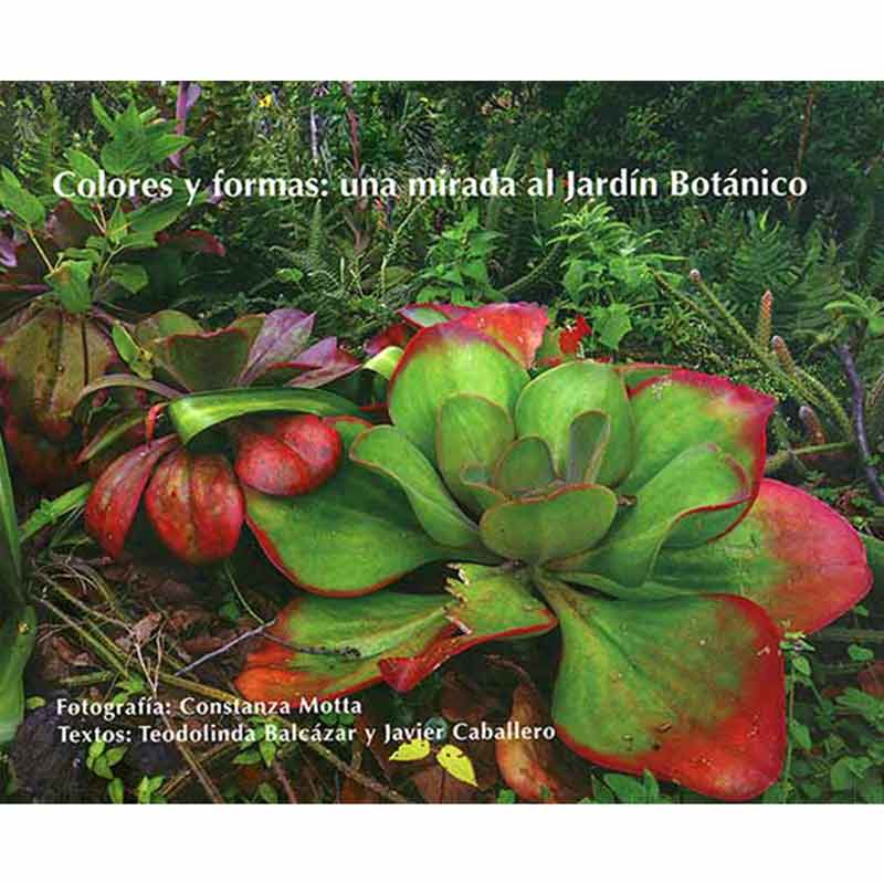 COLORES Y FORMAS: UNA MIRADA AL JARDÍN BOTÁNICO