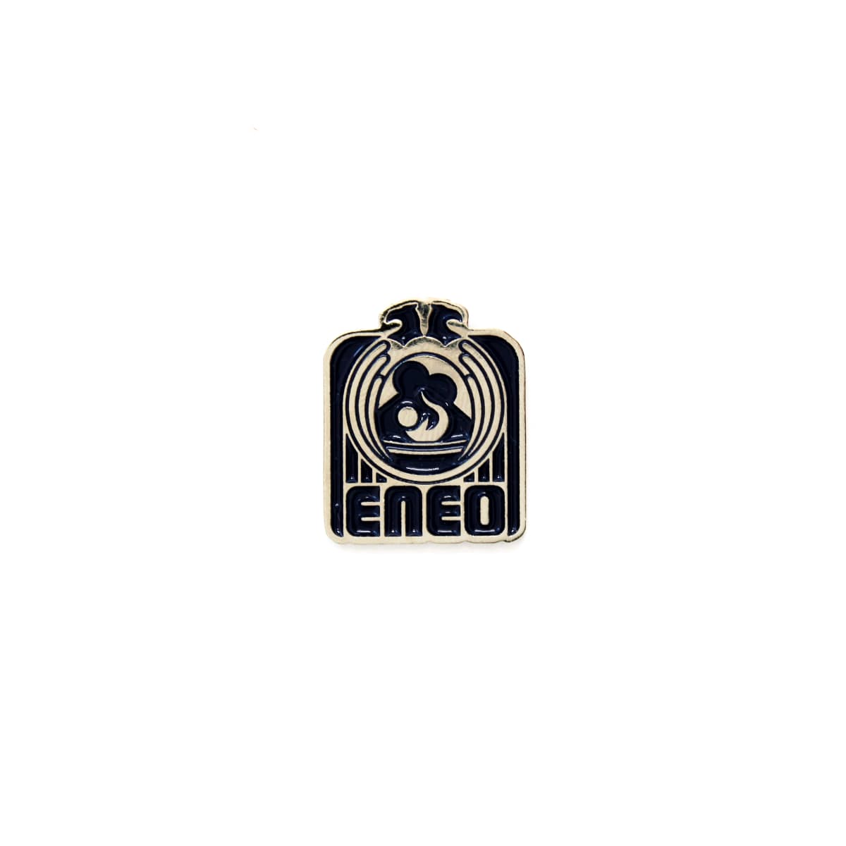 PIN ESCUELA NACIONAL DE ENFERMERÍA Y OBSTETRICIA