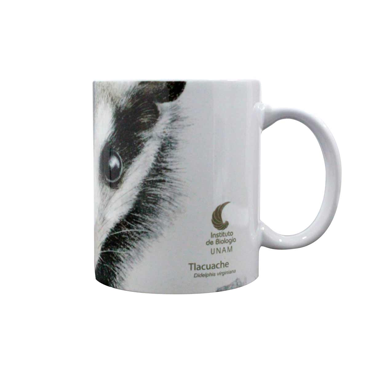 TAZA SUBLIMADA TLACUACHE