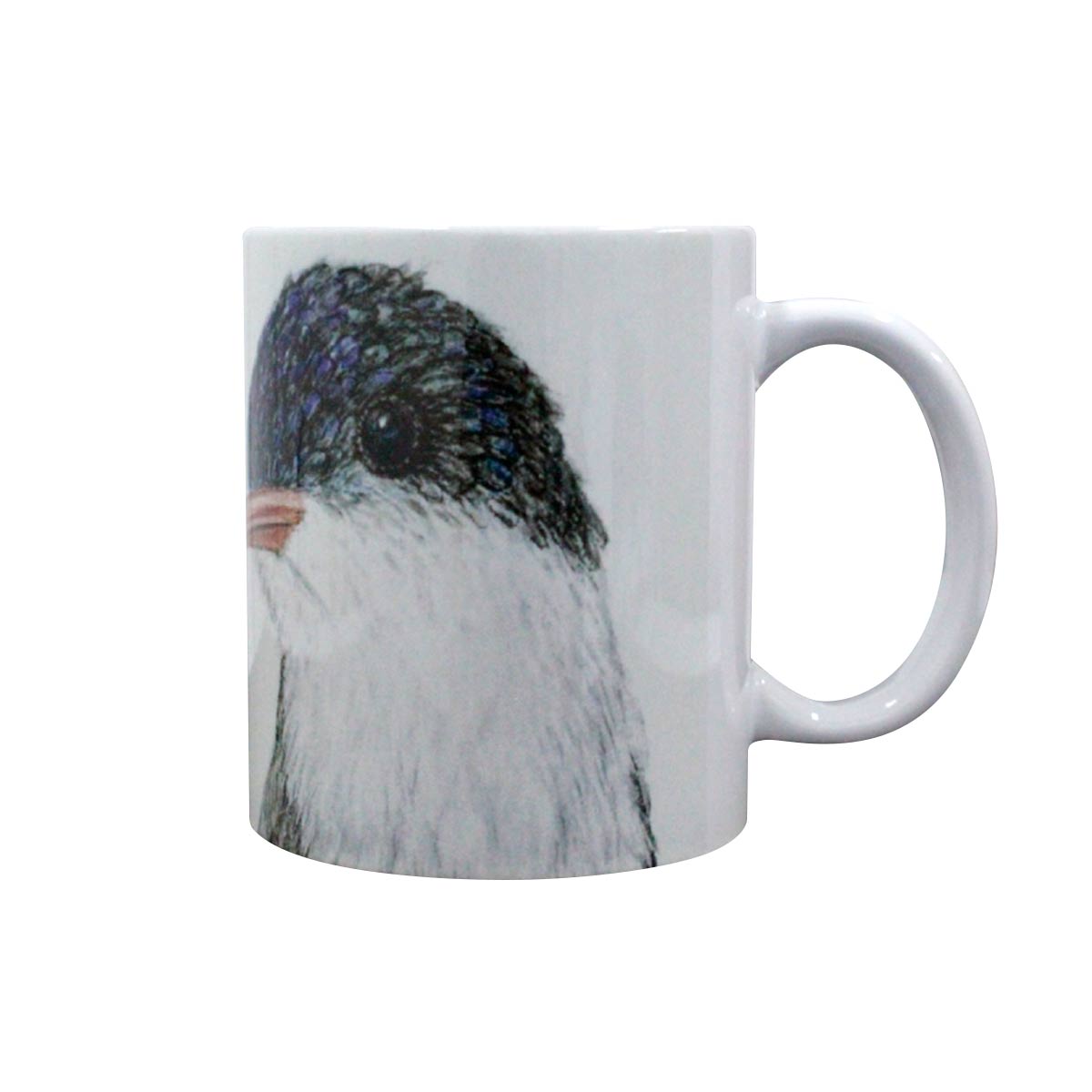 TAZA SUBLIMADA COLIBRÍ