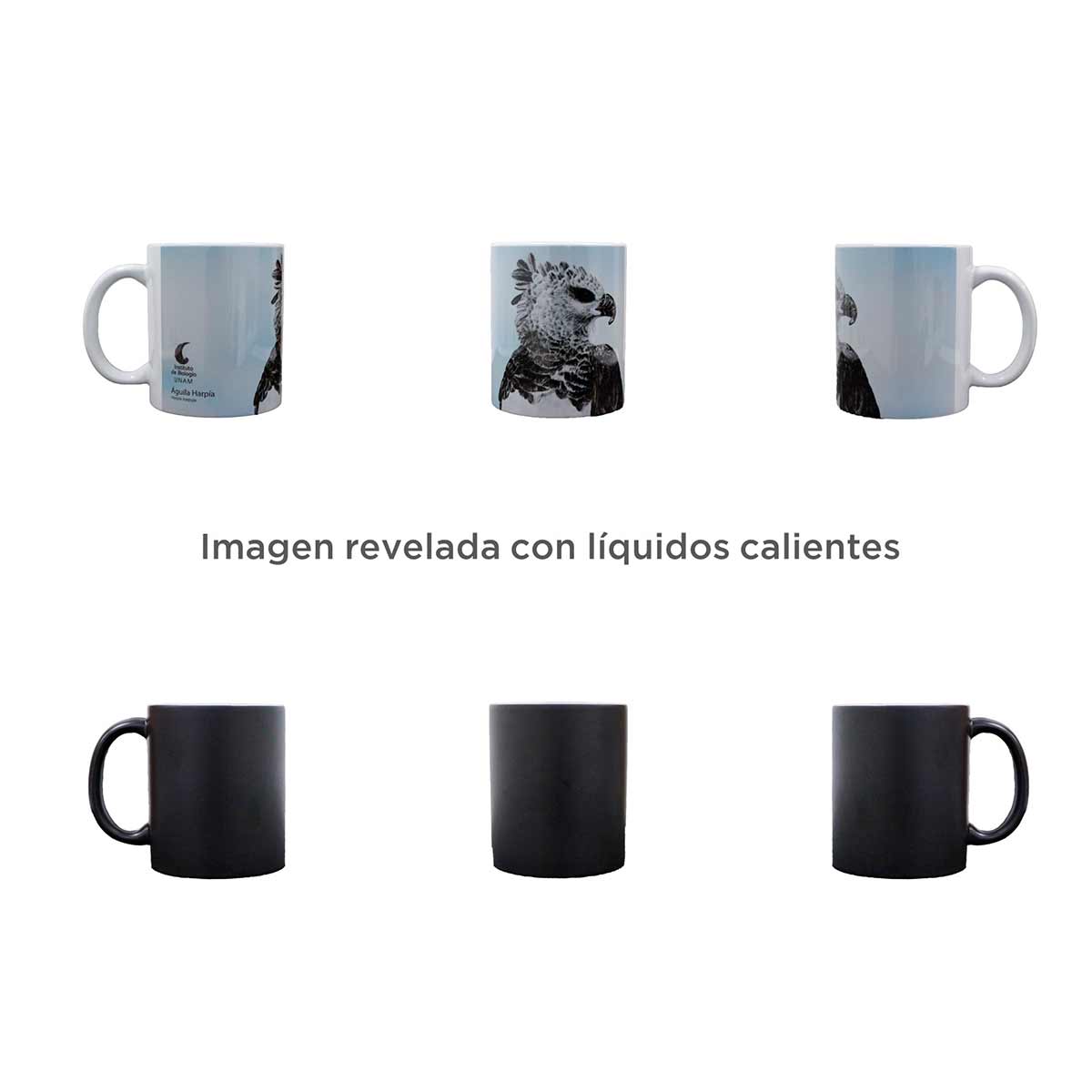 TAZA MÁGICA ÁGUILA HARPÍA