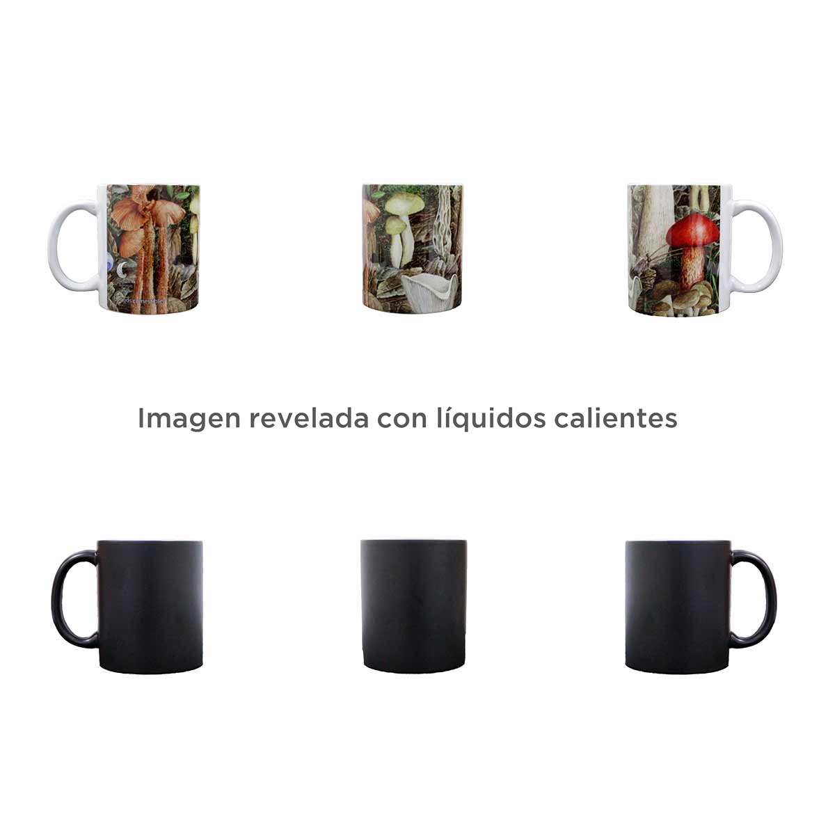 TAZA MÁGICA HONGOS COMESTIBLES