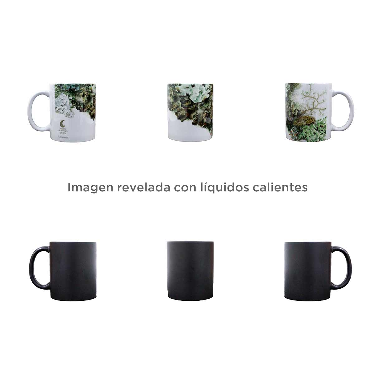 TAZA MÁGICA LÍQUENES