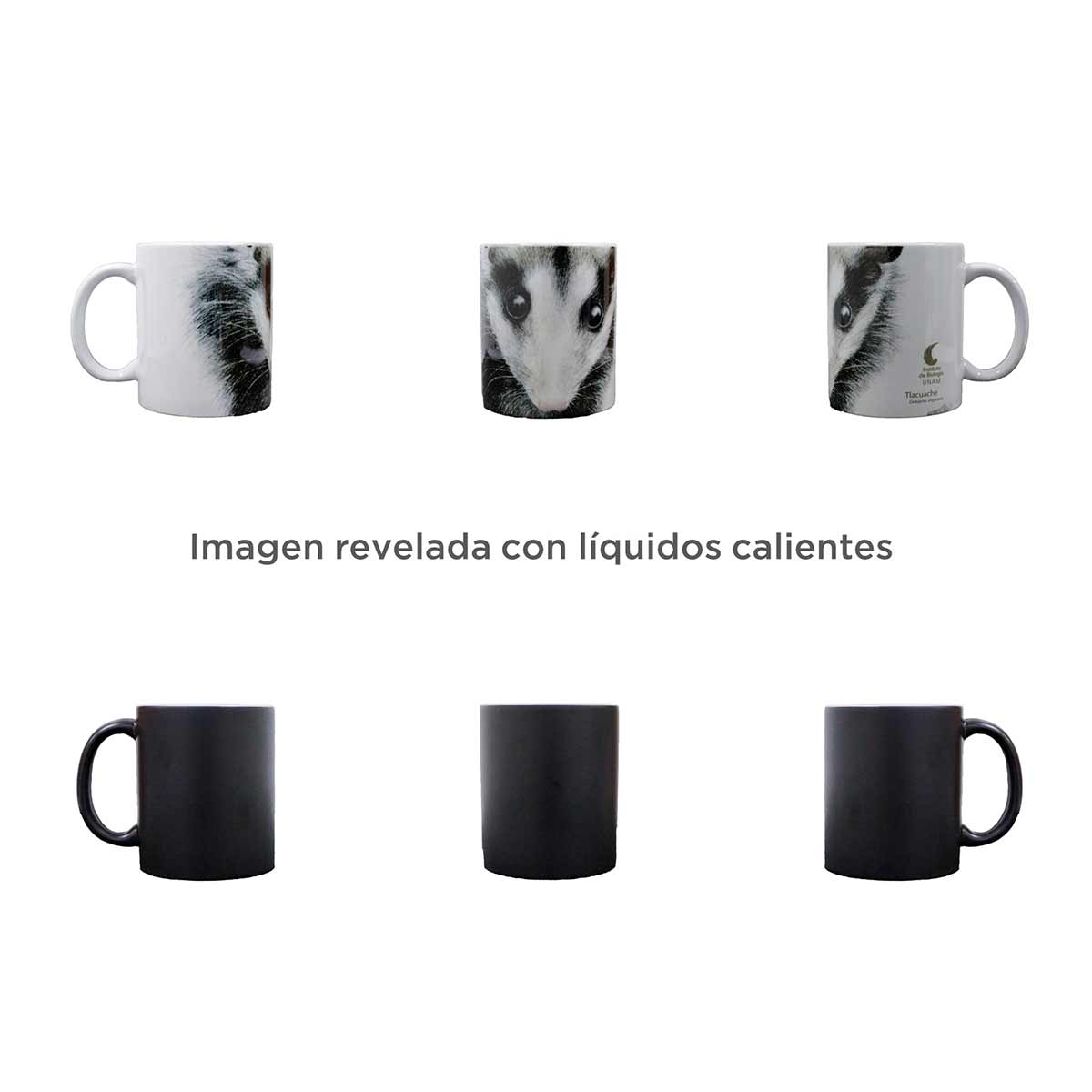 TAZA MÁGICA TLACUACHE