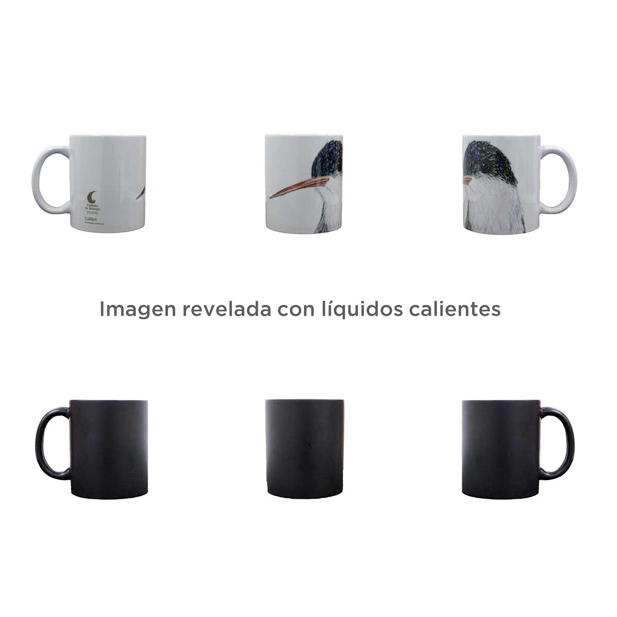 TAZA MÁGICA COLIBRÍ