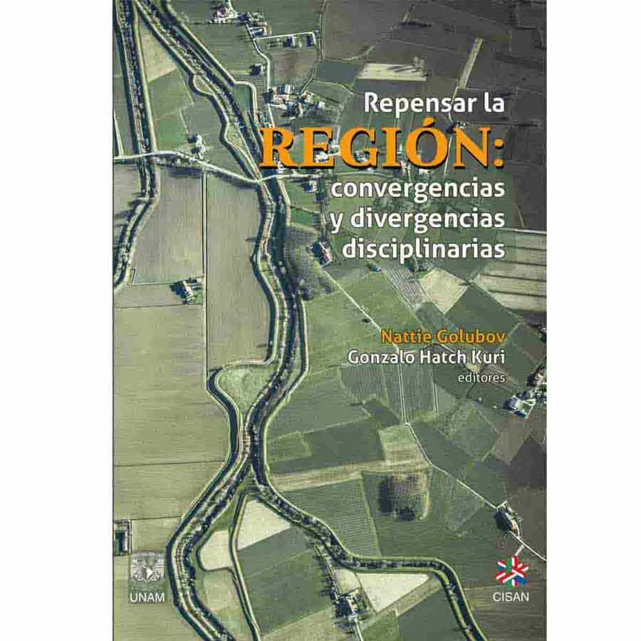 REPENSAR LA REGIÓN: CONVERGENCIAS Y DIVERGENCIAS DISCIPLINARIAS