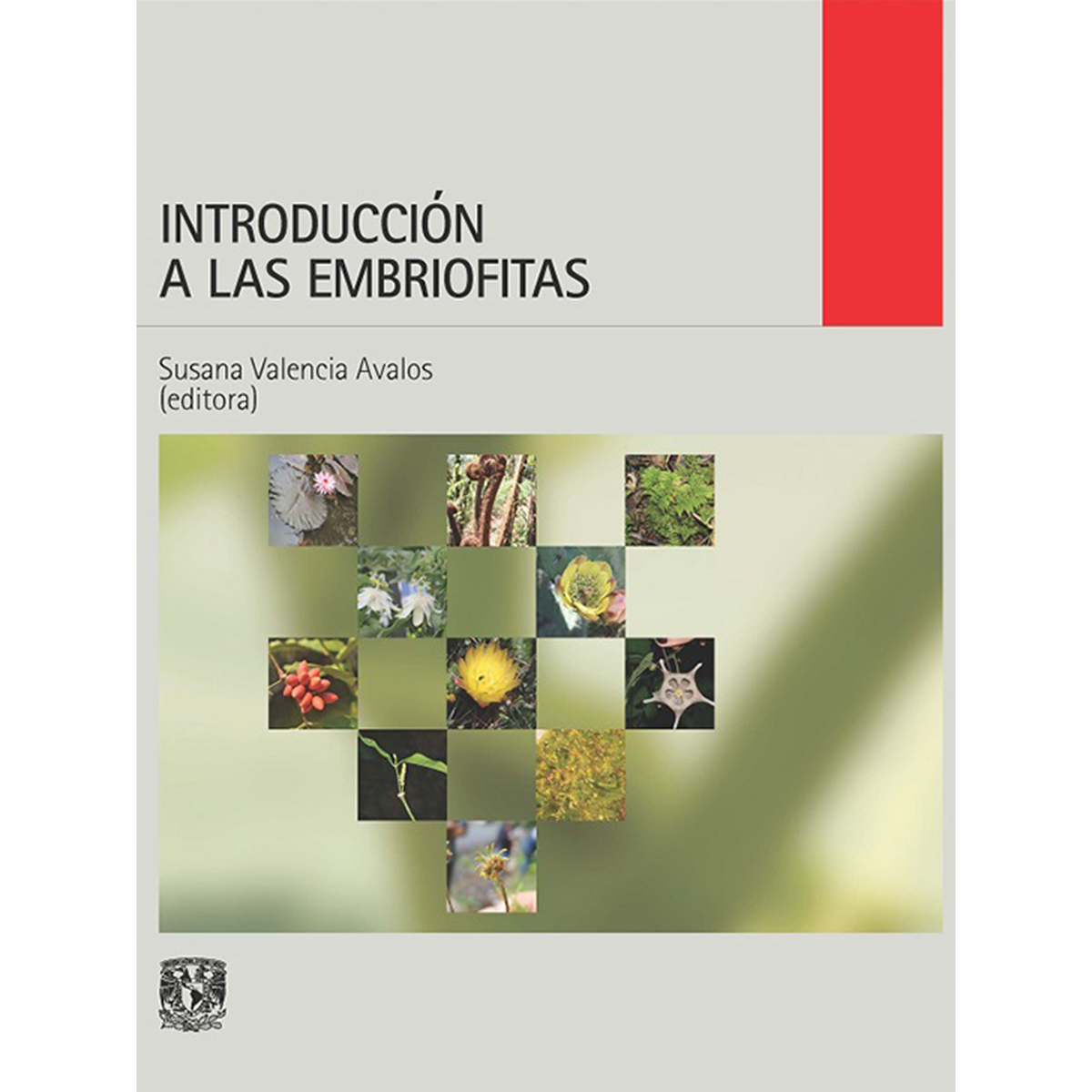 INTRODUCCIÓN A LAS EMBRIOFITAS