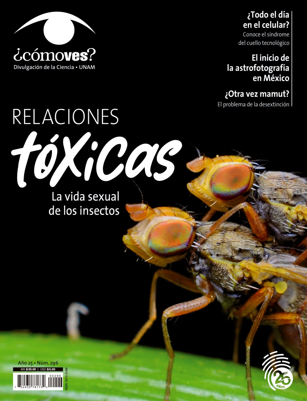 REVISTA ¿CÓMO VES? NÚMERO 296. RELACIONES TÓXICAS. LA VIDA SEXUAL DE LOS INSECTOS