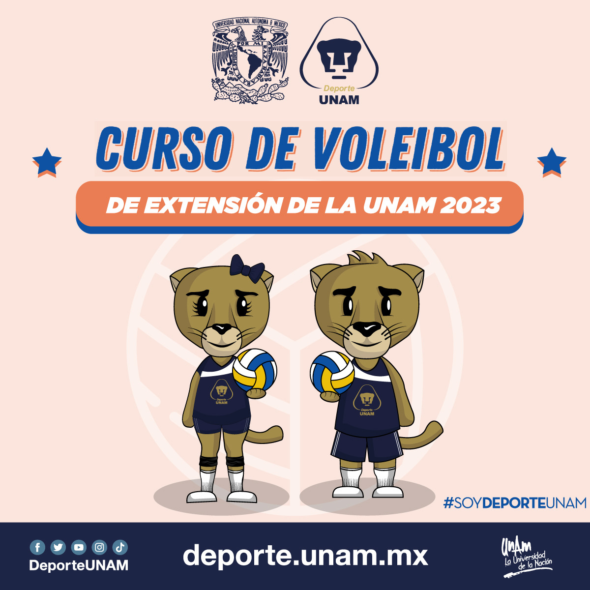 CURSO DE VOLEIBOL 2023 - MENSUALIDAD
