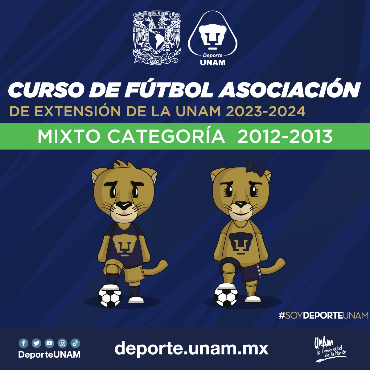 CURSO DE FÚTBOL ASOCIACIÓN MIXTA (2012-2013), 3 PRIMEROS PAGOS