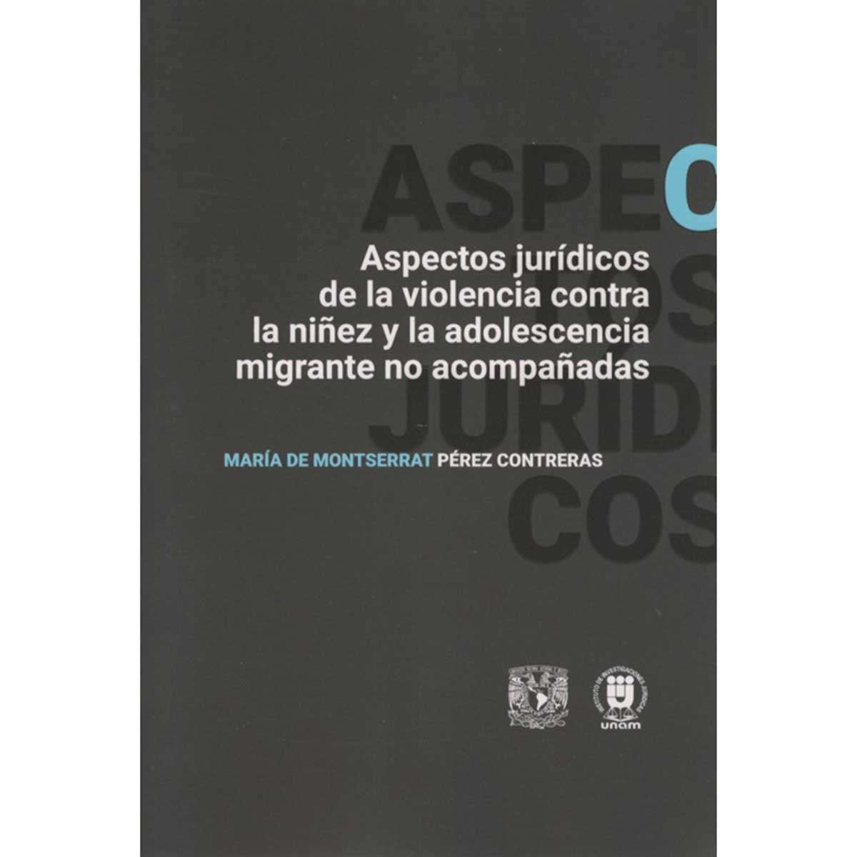 ASPECTOS JURÍDICOS DE LA VIOLENCIA CONTRA LA NIÑEZ Y LA ADOLESCENCIA MIGRANTE NO ACOMPAÑADAS