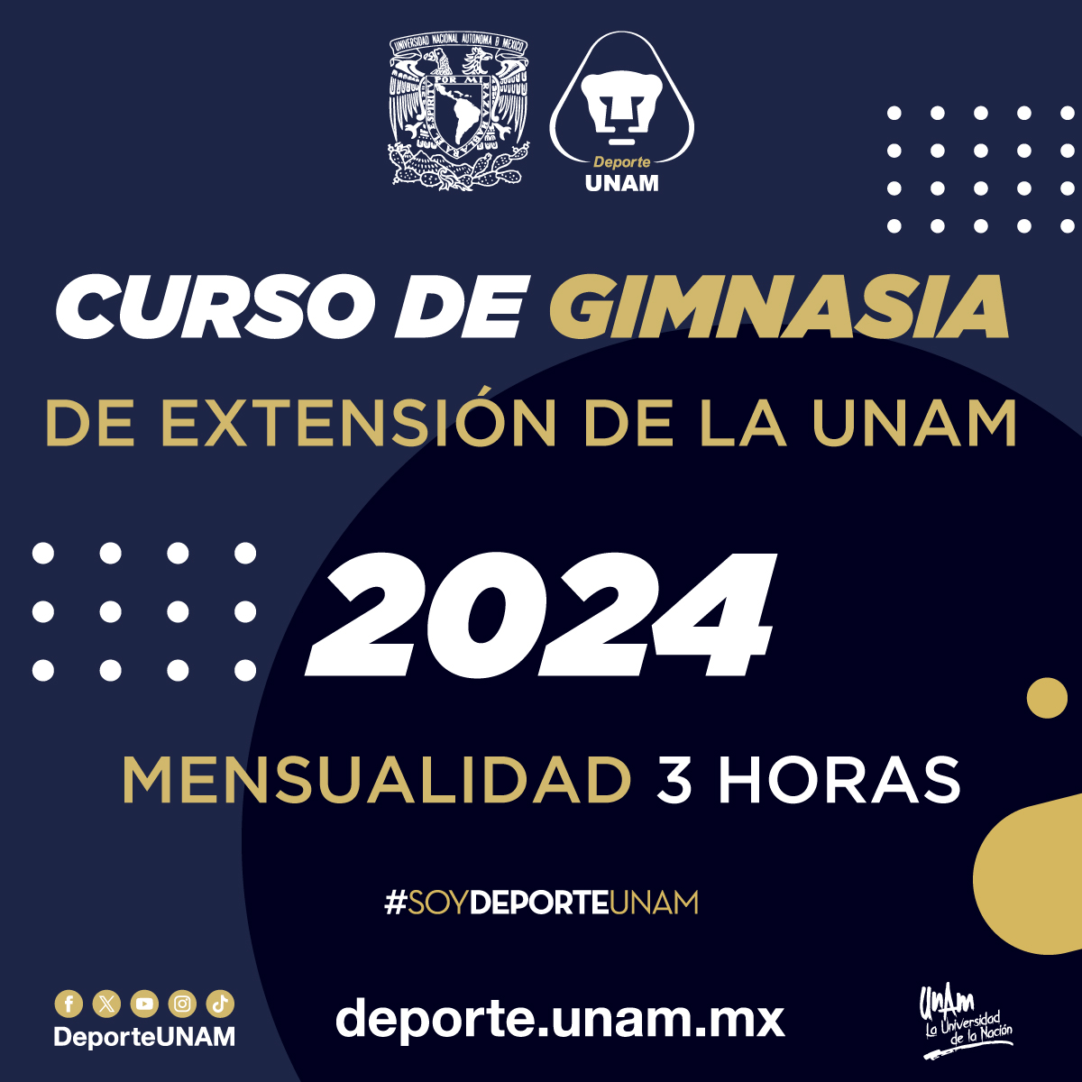 CURSO DE GIMNASIA DE EXTENSIÓN DE LA UNAM 2024 MENSUALIDAD 3 HORAS