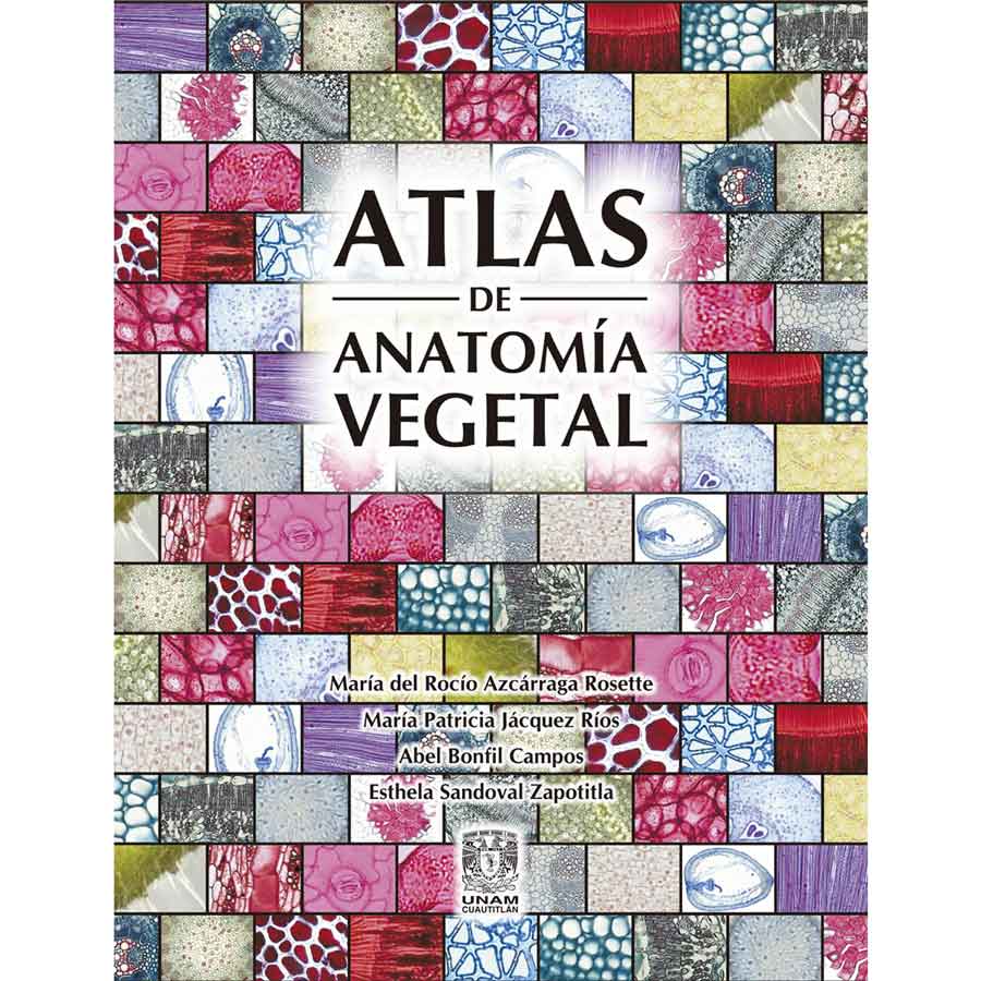 ATLAS DE ANATOMÍA VEGETAL (DISCO ELECTRÓNICO)