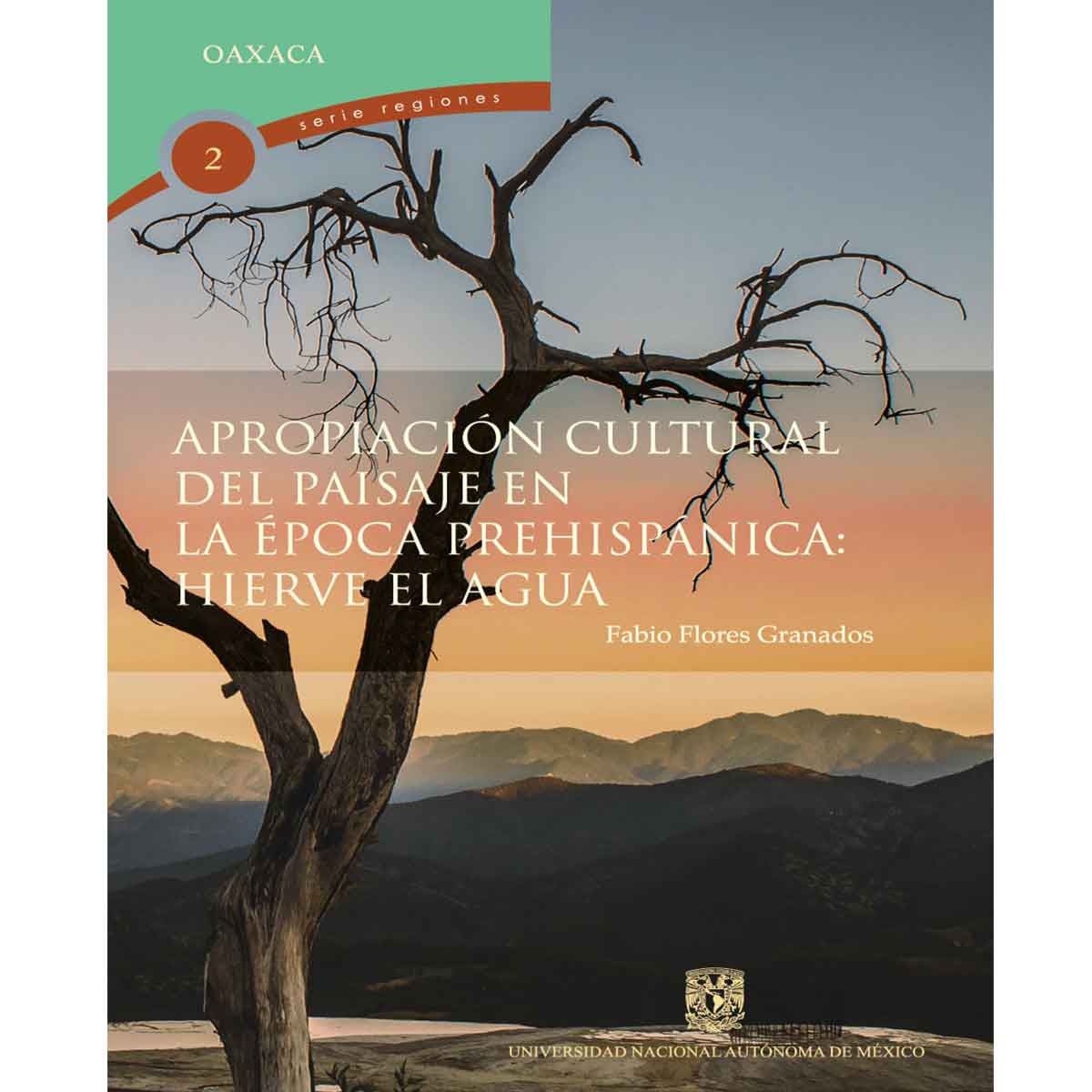 APROPIACIÓN CULTURAL DEL PAISAJE EN LA ÉPOCA PREHISPÁNICA: HIERVE EL AGUA