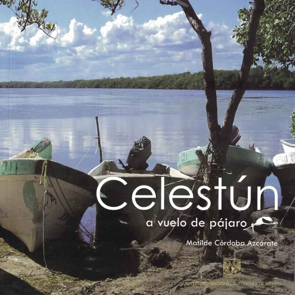 CELESTÚN A VUELO DE PÁJARO