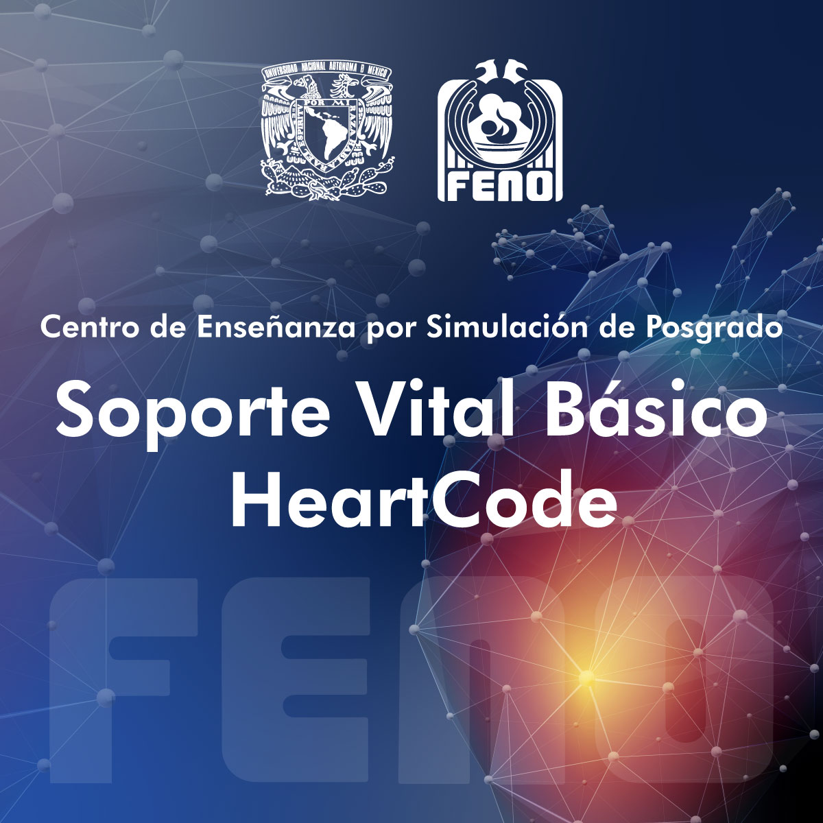 SOPORTE VITAL BÁSICO HEARTCODE