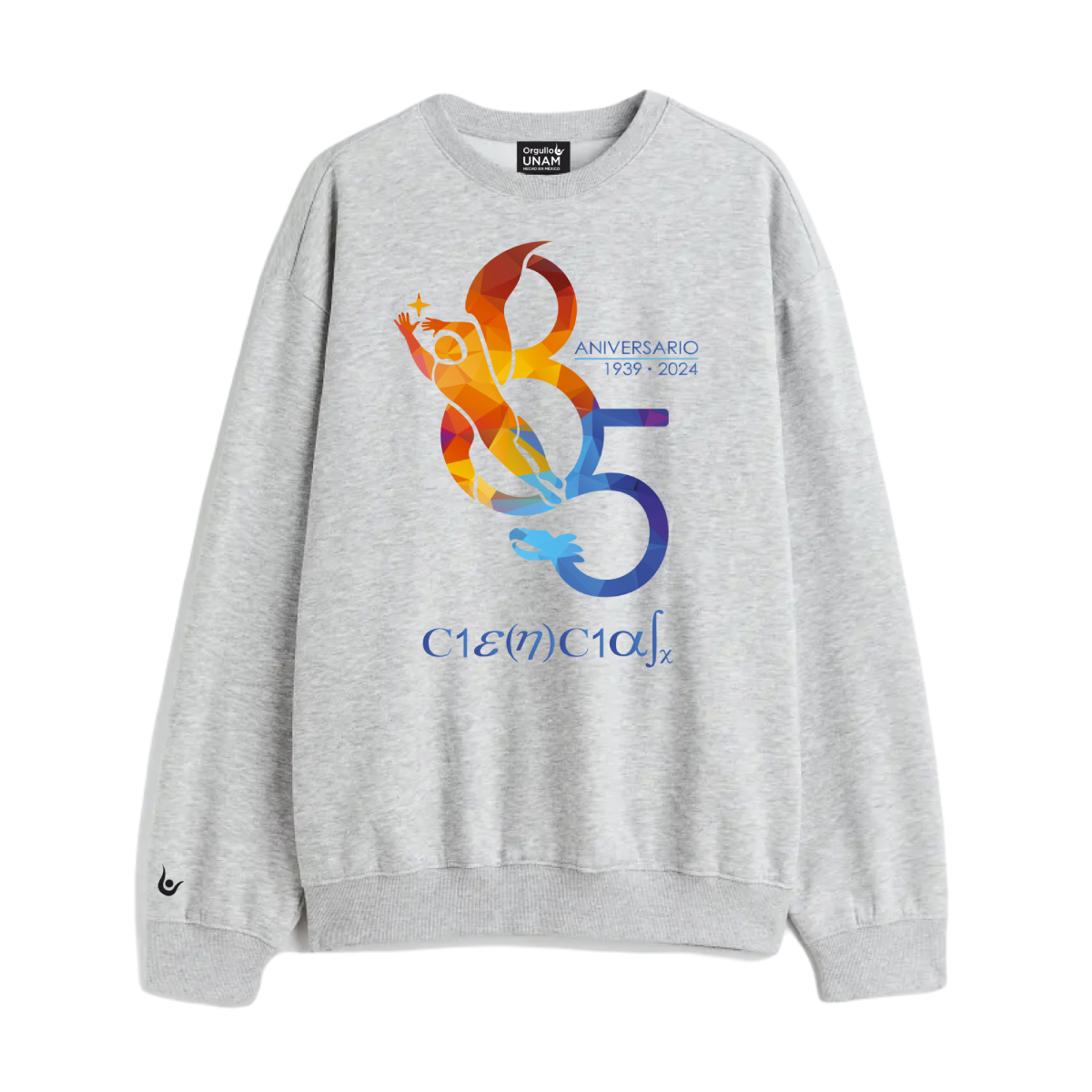 PULLOVER GRIS ANIVERSARIO CIENCIAS