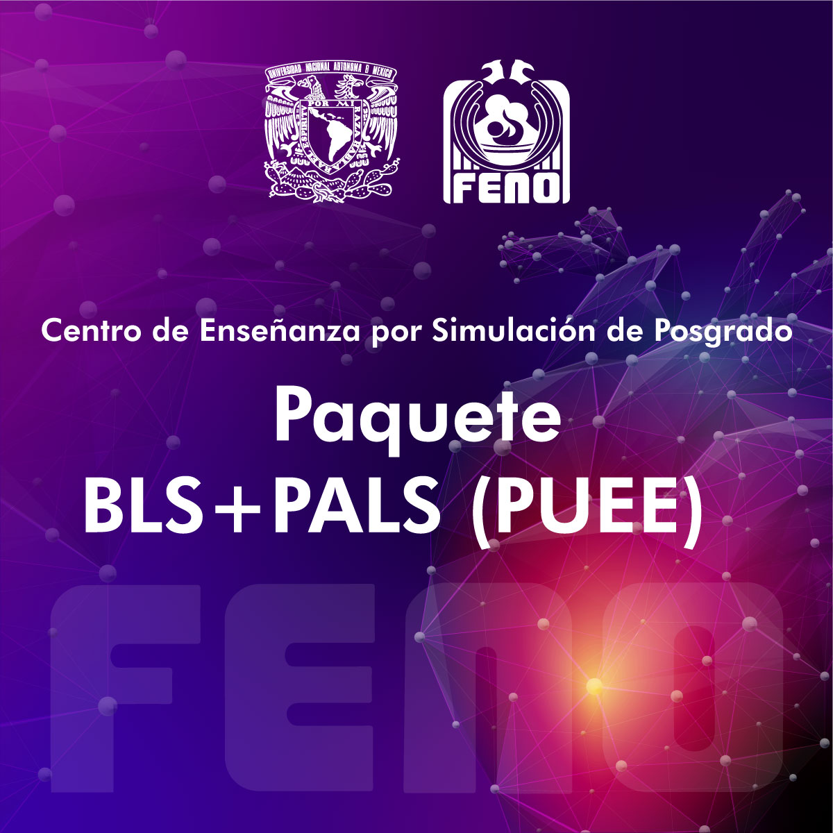 PAQUETE BLS+PALS (PUEE)