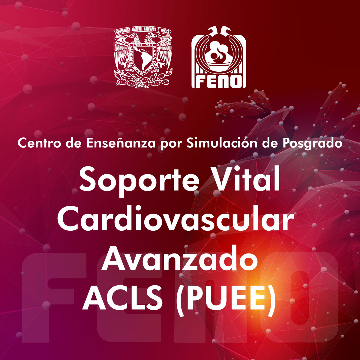 SOPORTE VITAL CARDIOVASCULAR AVANZADO ACLS (PUEE)