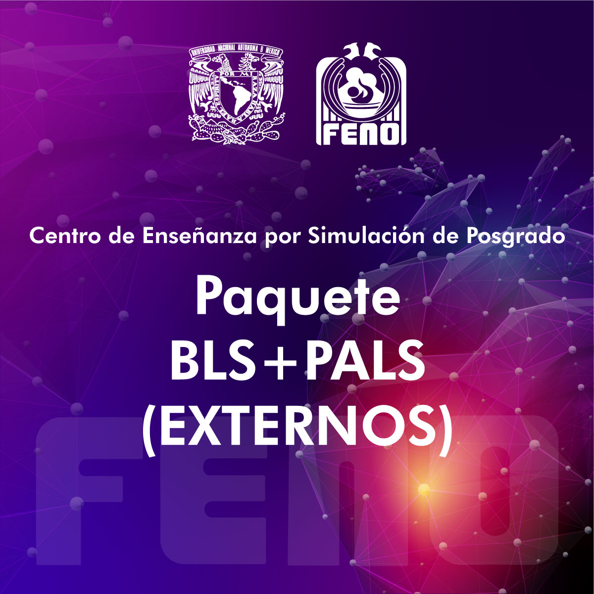 PAQUETE BLS+PALS (EXTERNOS)