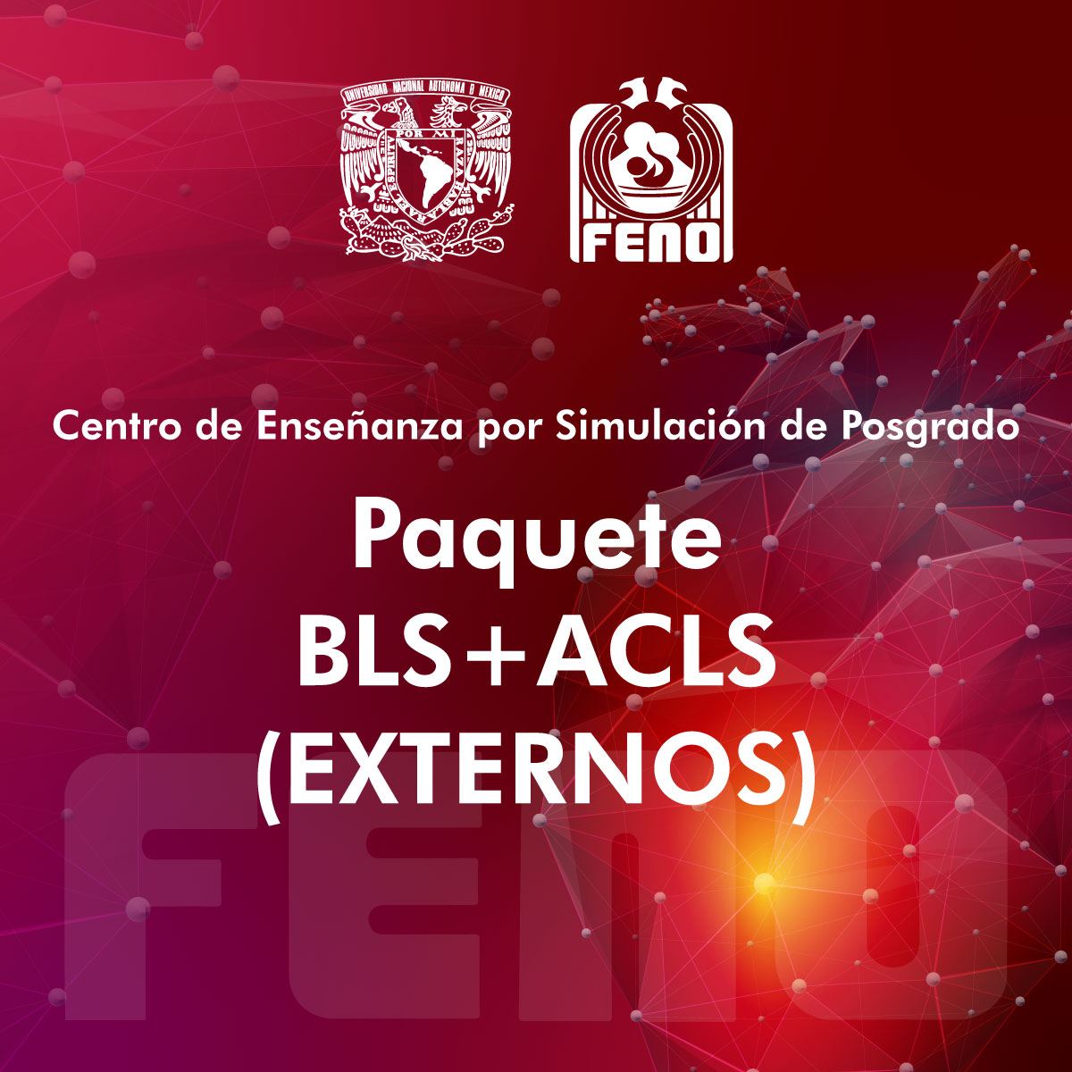 PAQUETE BLS+ACLS (EXTERNOS)