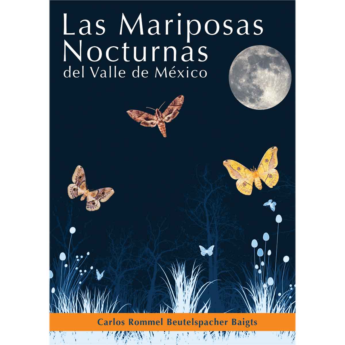 LAS MARIPOSAS NOCTURNAS DEL VALLE DE MÉXICO