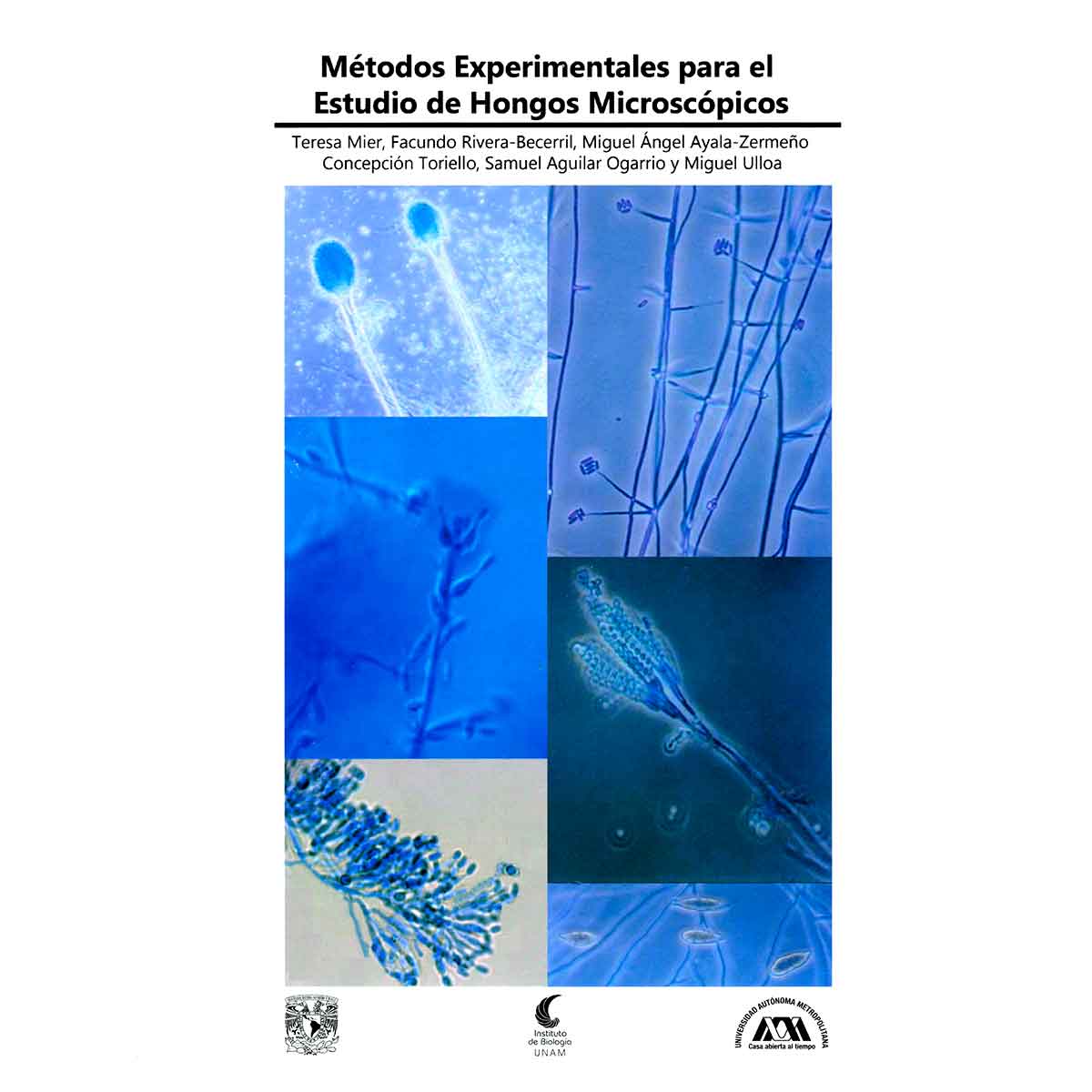 MÉTODOS EXPERIMENTALES PARA EL ESTUDIO DE HONGOS MICROSCÓPICOS