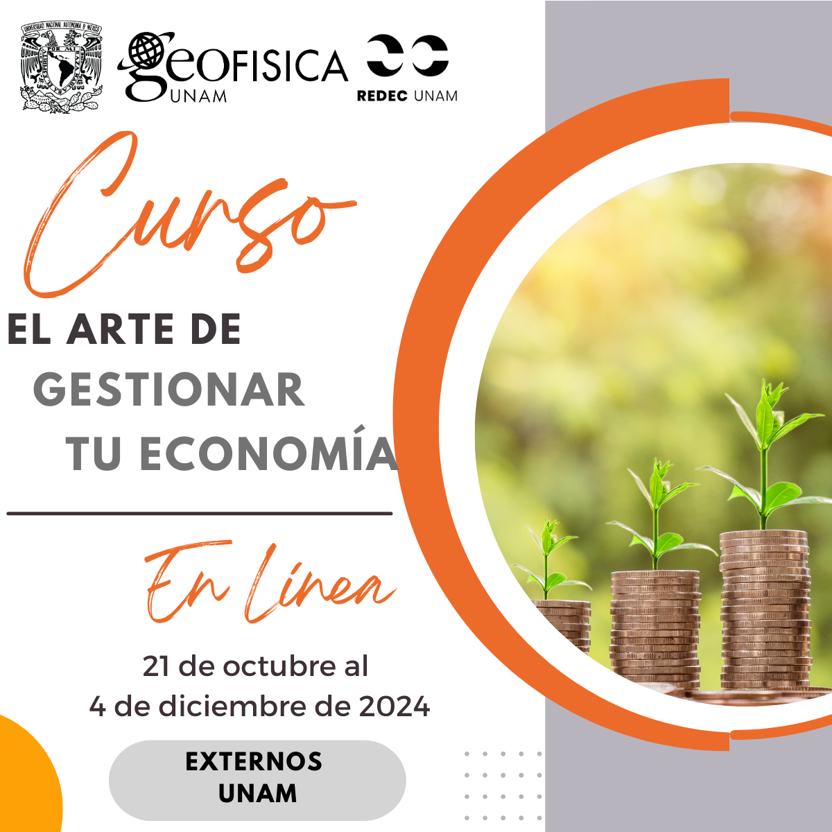 CURSO EL ARTE DE GESTIONAR TU ECONOMÍA (EXTERNOS UNAM)
