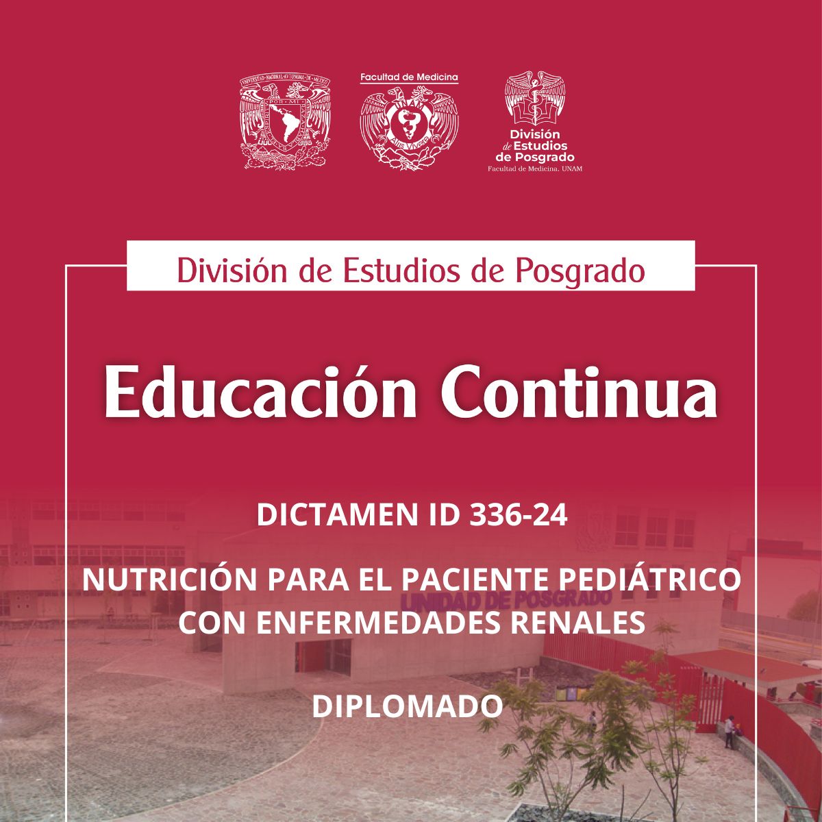 DICTAMEN ID 336-24 NUTRICIÓN PARA EL PACIENTE PEDIÁTRICO CON ENFERMEDADES RENALES
