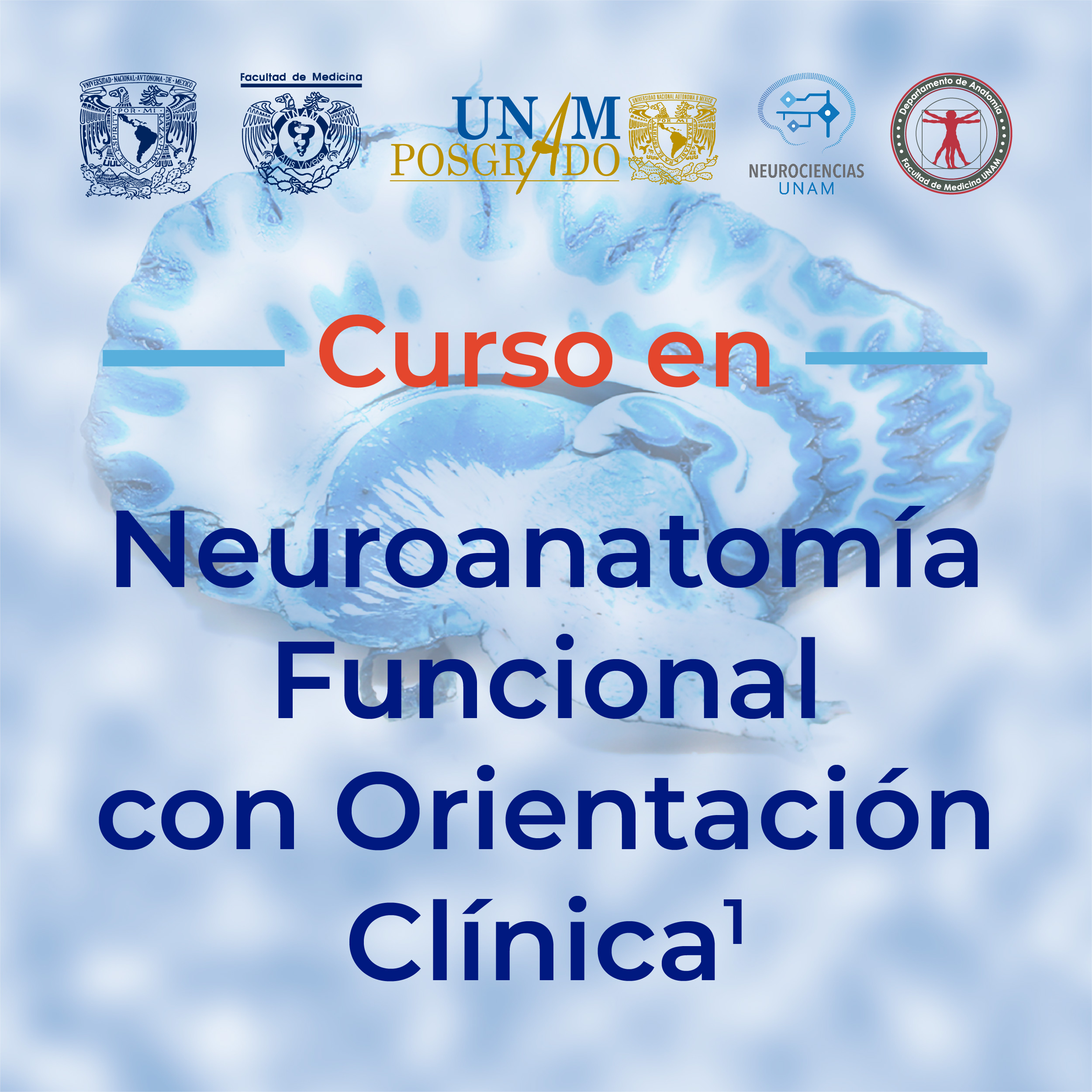 CURSO EN NEUROANATOMÍA FUNCIONAL CON ORIENTACIÓN CLÍNICA