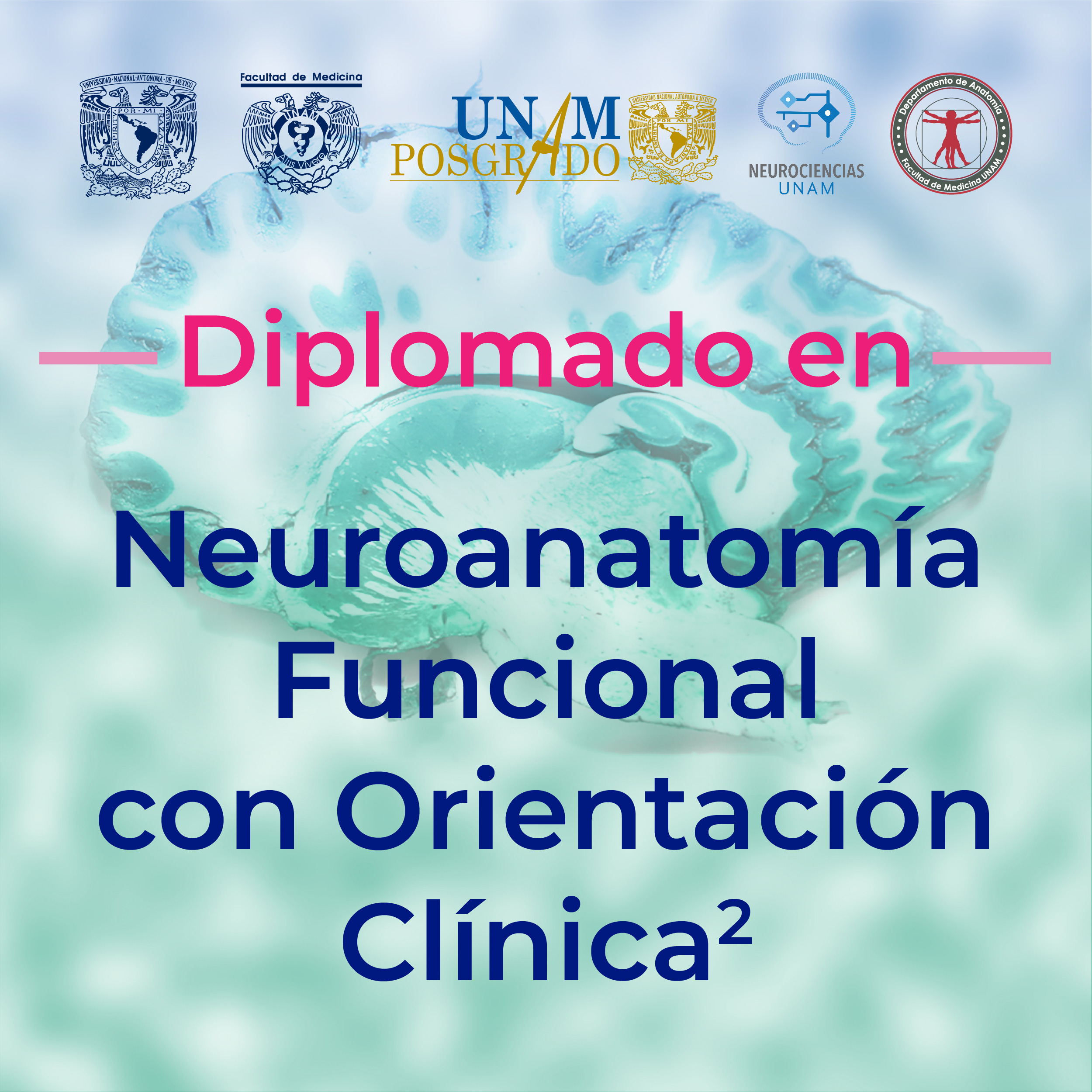 DIPLOMADO EN NEUROANATOMÍA FUNCIONAL CON ORIENTACIÓN CLÍNICA