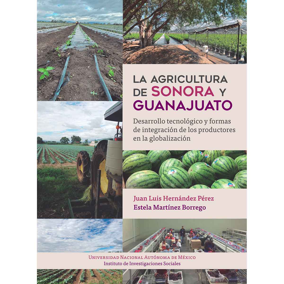 LA AGRICULTURA DE SONORA Y GUANAJUATO. DESARROLLO TECNOLÓGICO Y FORMAS DE INTEGRACIÓN DE LOS PRODUCTORES EN LA GLOBALIZACIÓN