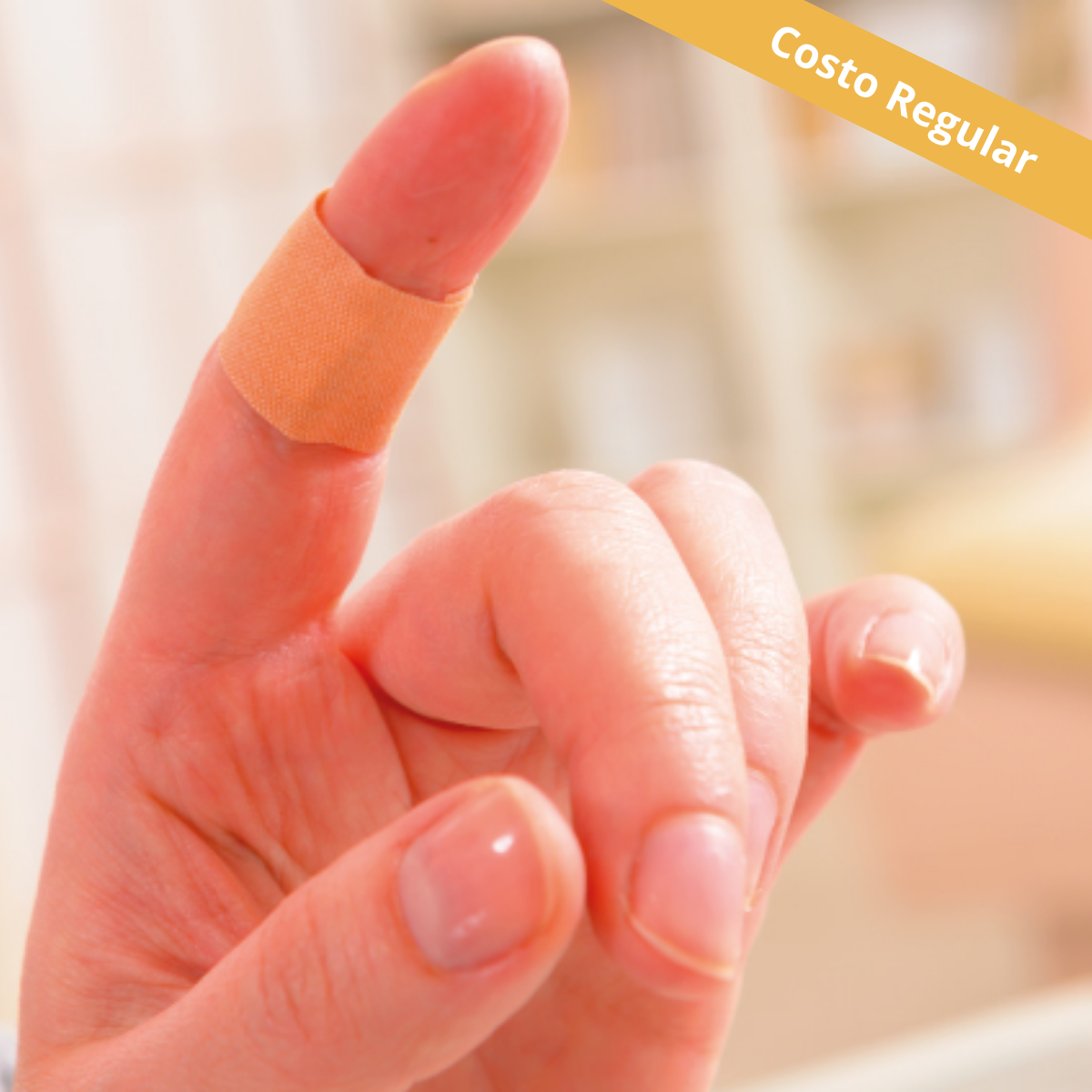 CURSO DERECHOS DE LAS VÍCTIMAS Y REPARACIÓN INTEGRAL - COSTO REGULAR