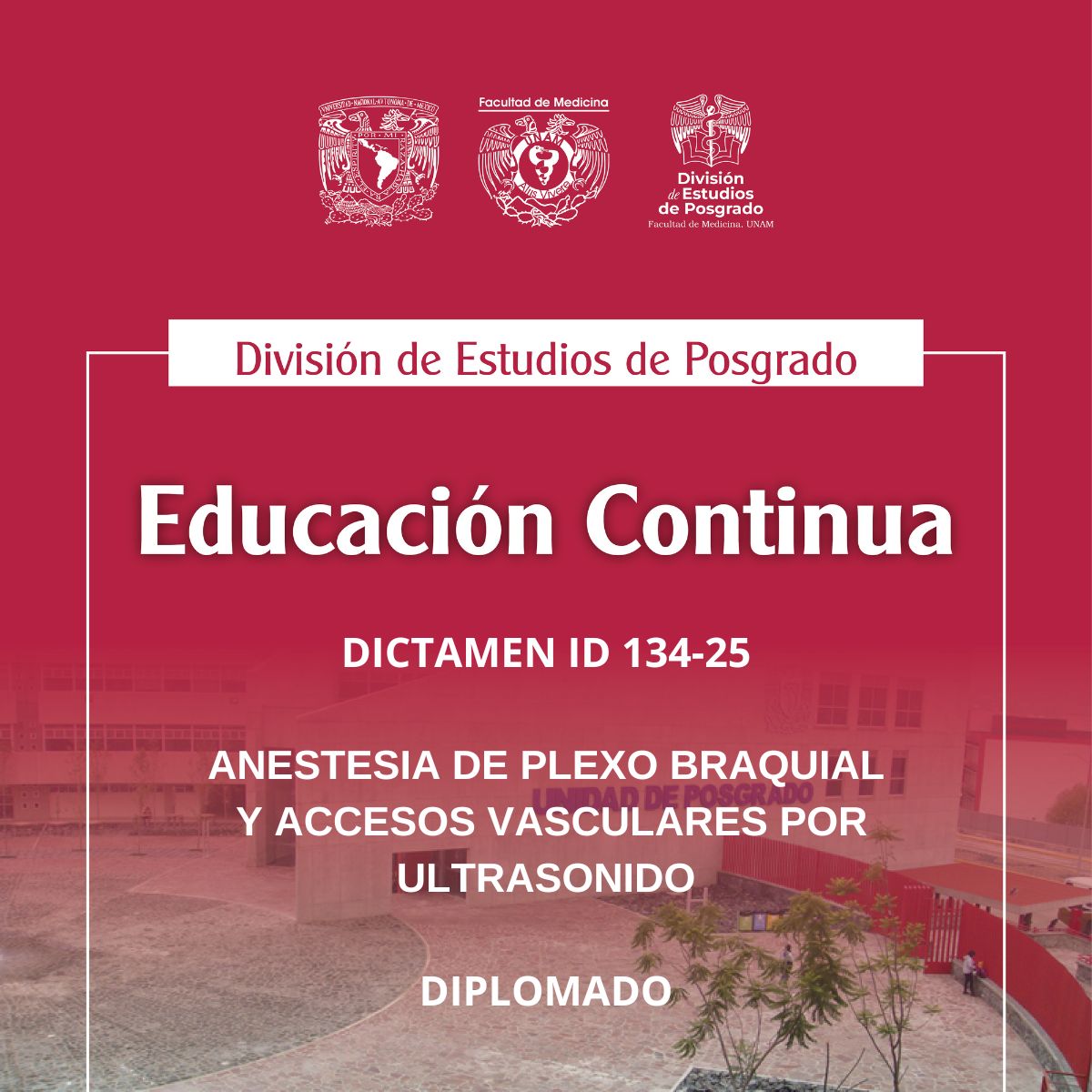 DICTAMEN ID 134-25 ANESTESIA DE PLEXO BRAQUIAL Y ACCESOS VASCULARES POR ULTRASONIDO