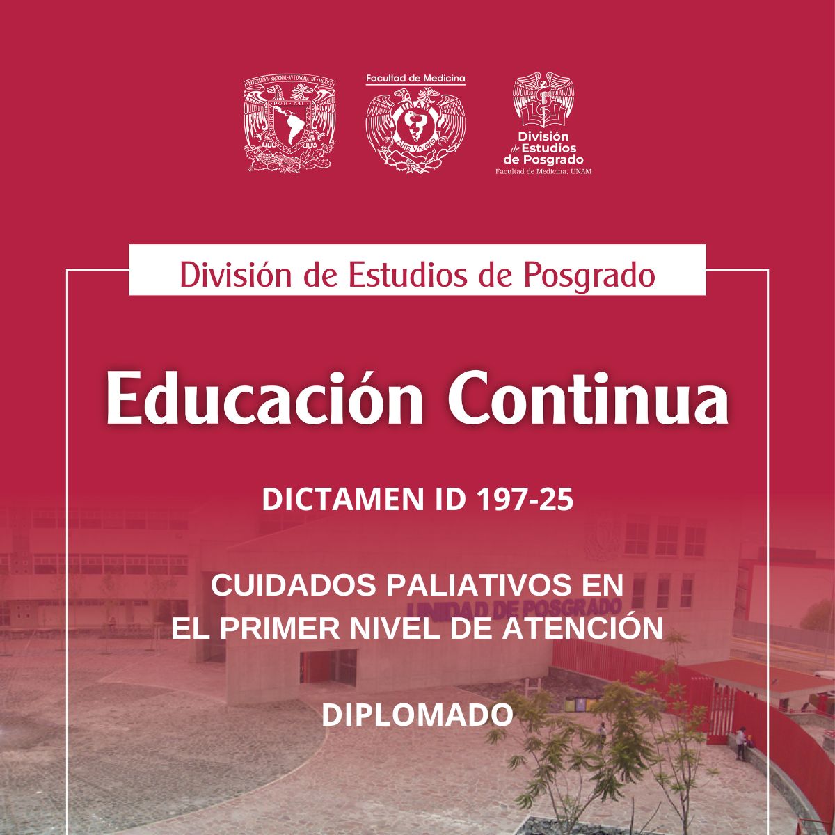 DICTAMEN ID 197-25 CUIDADOS PALIATIVOS EN EL PRIMER NIVEL DE ATENCIÓN