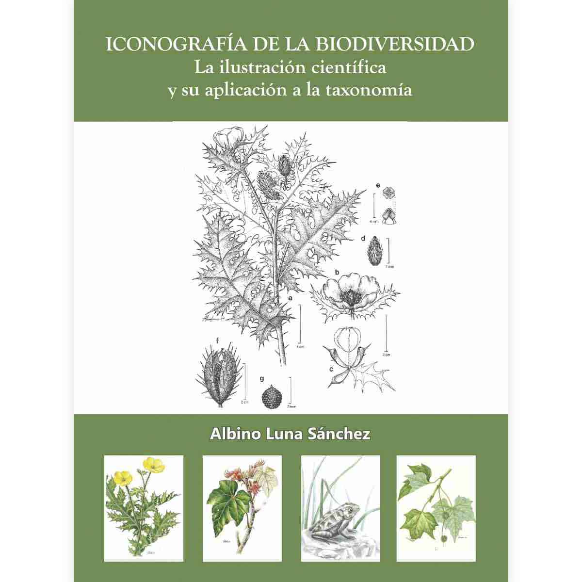 ICONOGRAFÍA DE LA BIODIVERSIDAD. LA ILUSTRACIÓN CIENTIFÍCA Y SU APLICACIÓN A LA TAXONOMÍA
