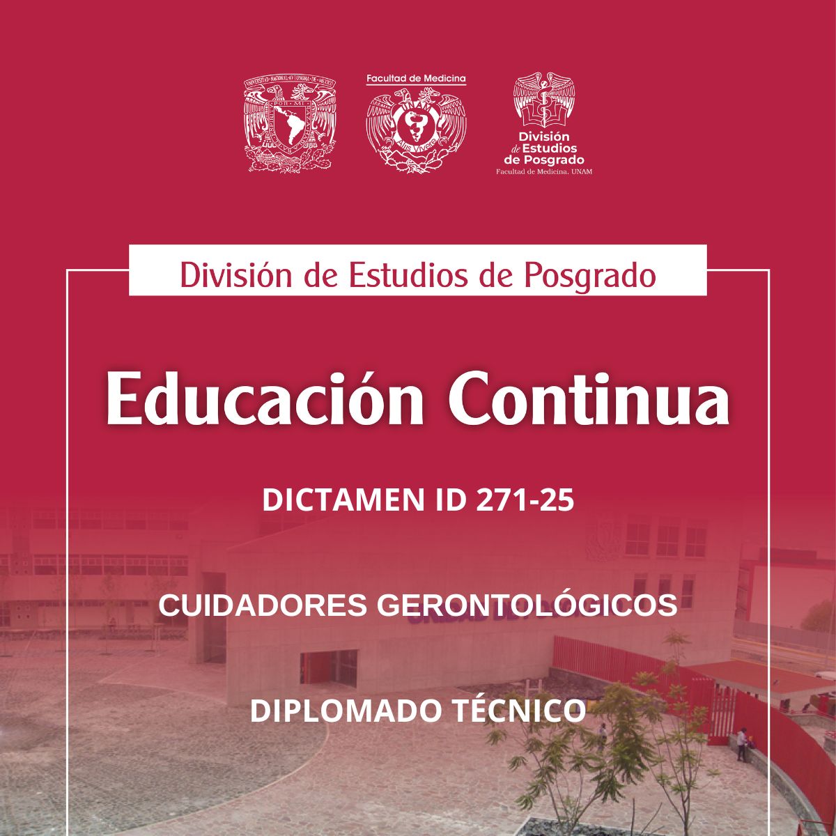 DICTAMEN ID 271-25 CUIDADORES GERONTOLÓGICOS
