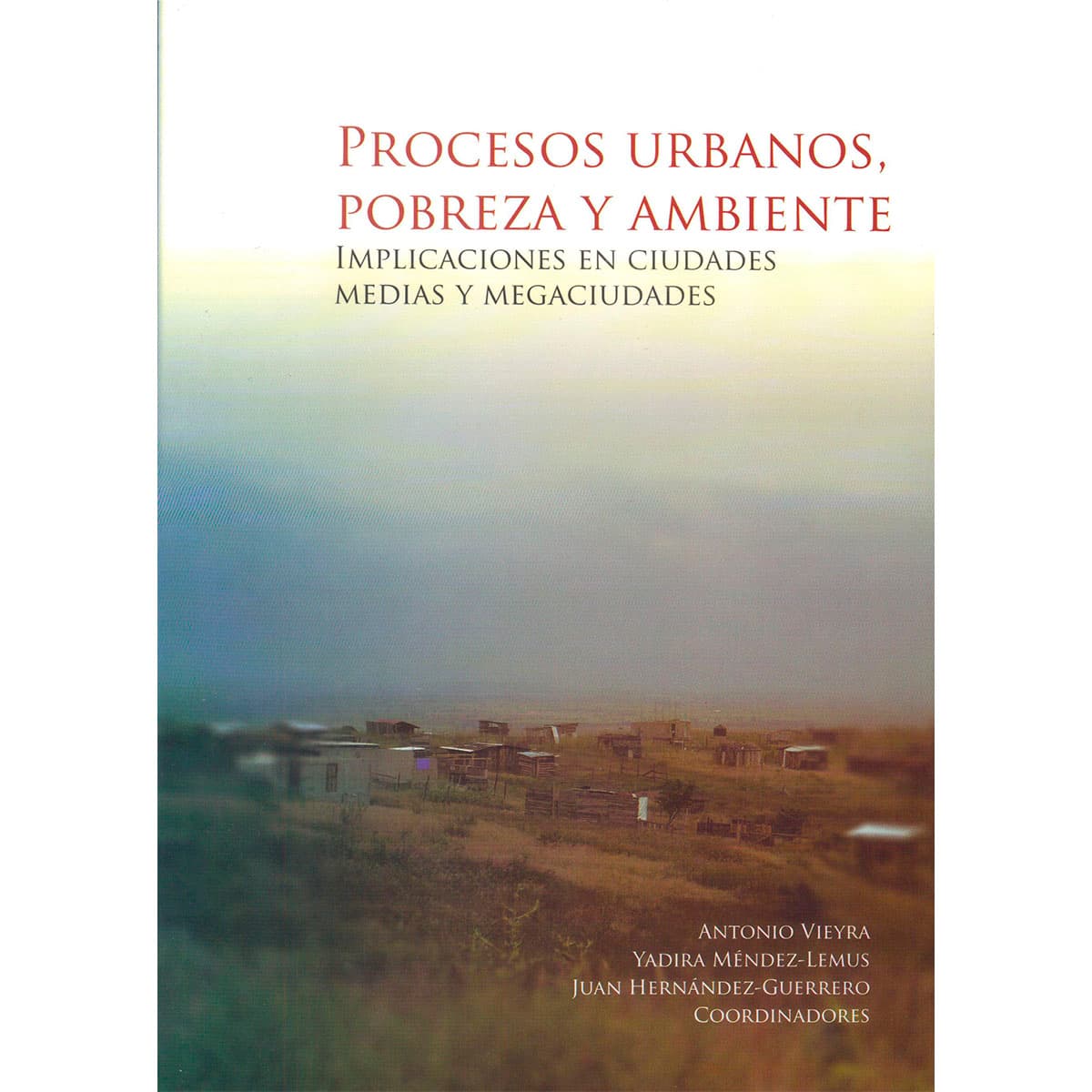 PROCESOS URBANOS, POBREZA Y AMBIENTE. IMPLICACIONES EN CIUDADES MEDIAS Y MEGACIUDADES