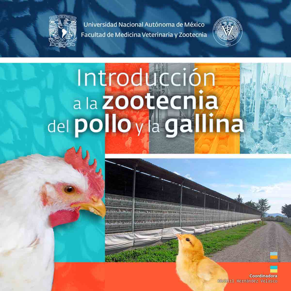 INTRODUCCIÓN A LA ZOOTECNIA DEL POLLO Y LA GALLINA