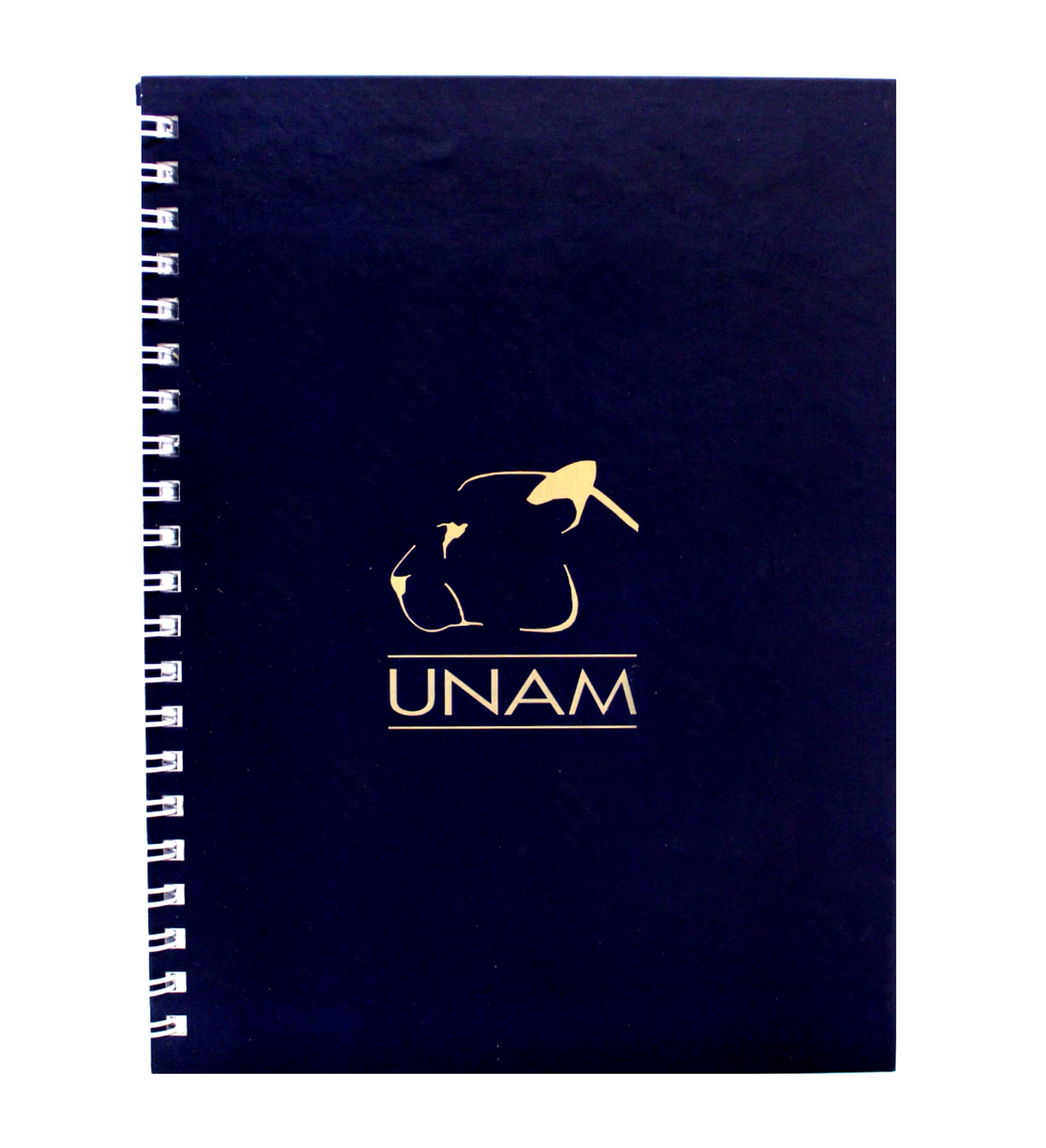 CUADERNO PROFESIONAL PERFIL PUMA