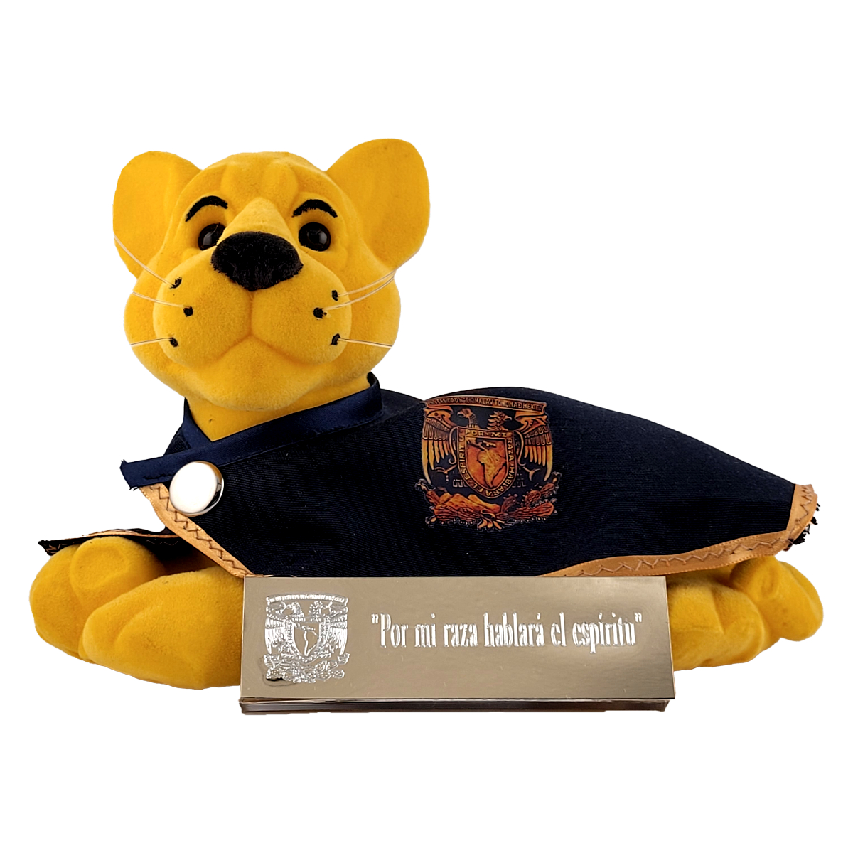 PUMITA CACHORRO