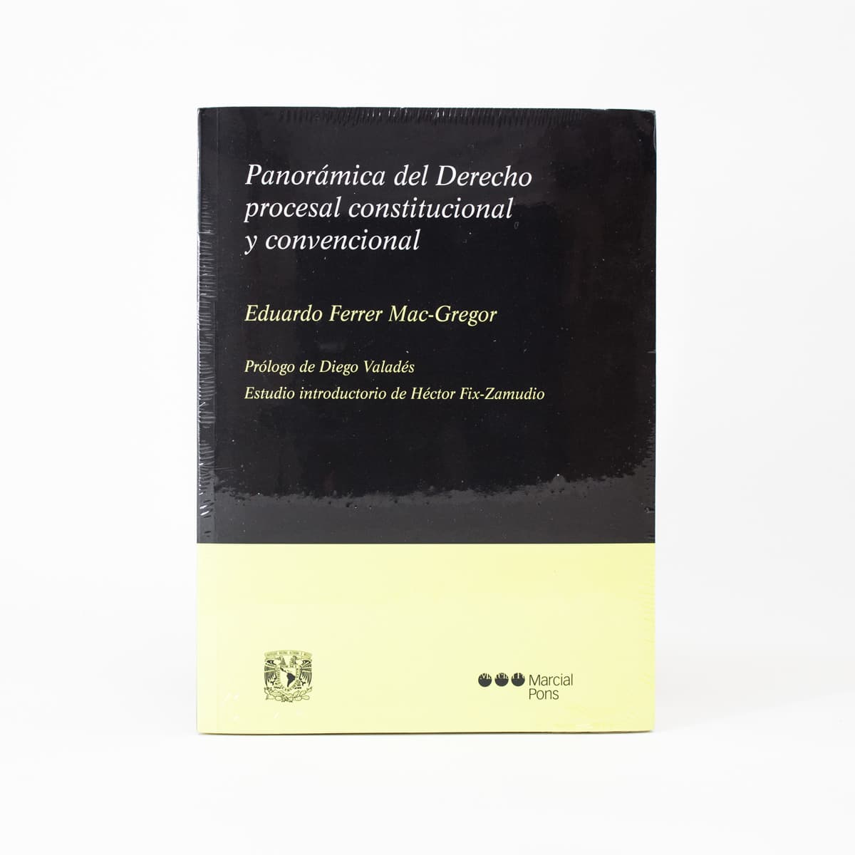 PANORÁMICA DEL DERECHO PROCESAL CONSTITUCIONAL Y CONVENCIONAL.